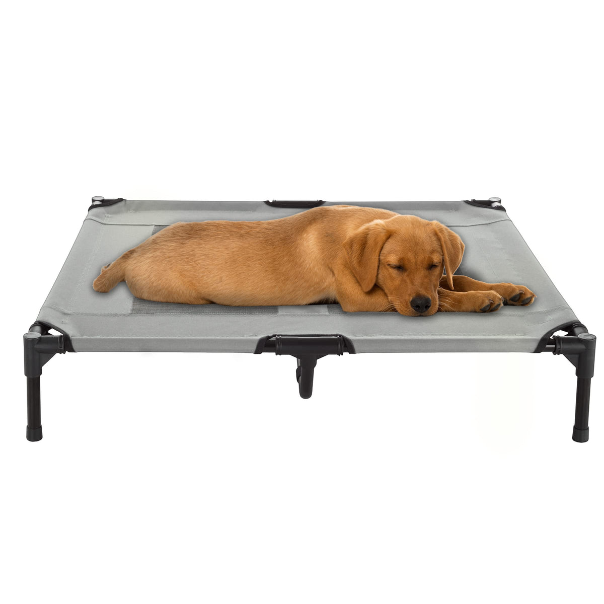 Elevated Dog Bed - 36X29.75-Inch Portable Pet Bed With Non-Slip Feet - Indoor/Outdoor Dog Cot Or Puppy Mattress For Pets Up To 8