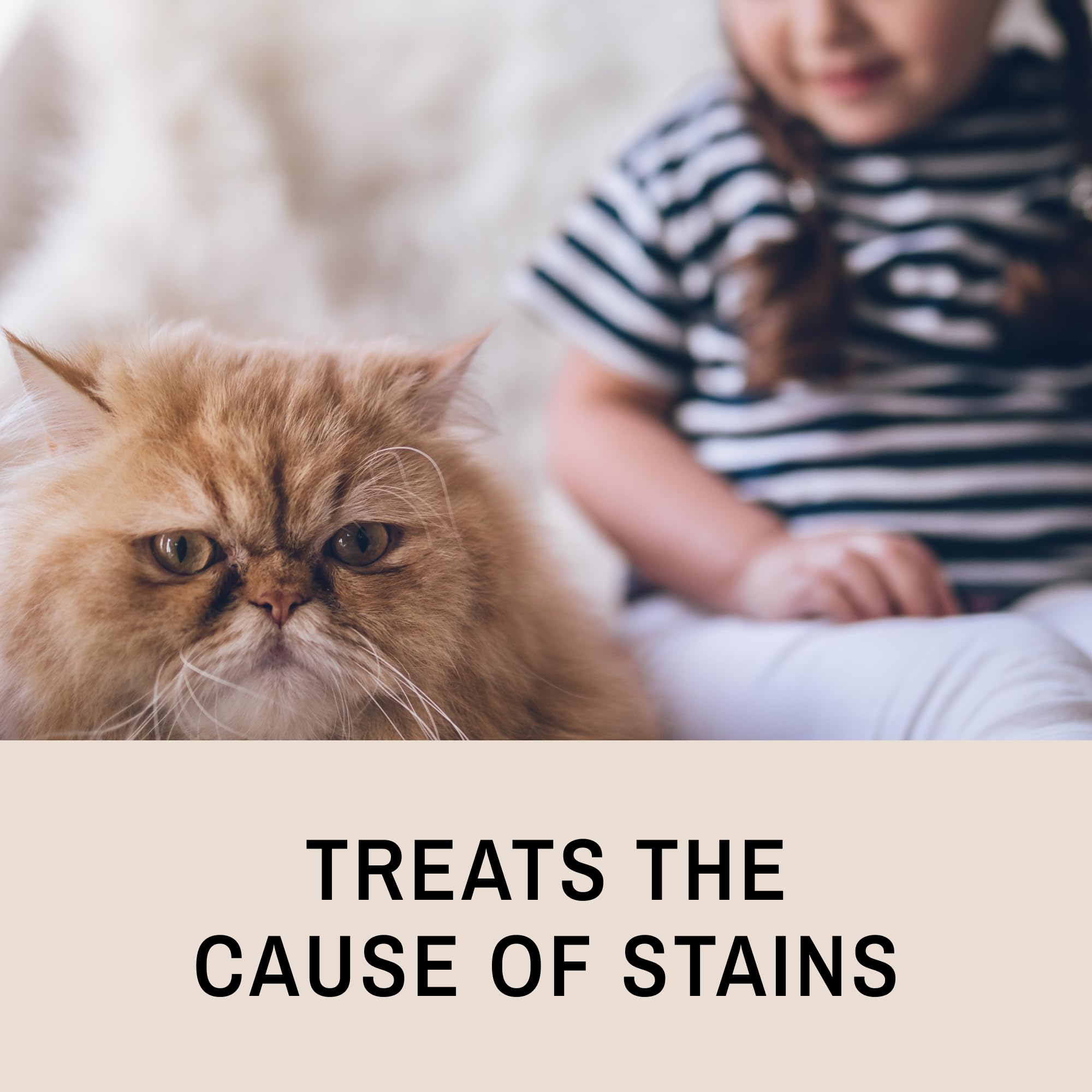 Eye Envy Tear Stain Remover Solution for Cats|100% Natural and Safe|Recommended by Breeders/vets/cat fanciers/Groomers|Contains