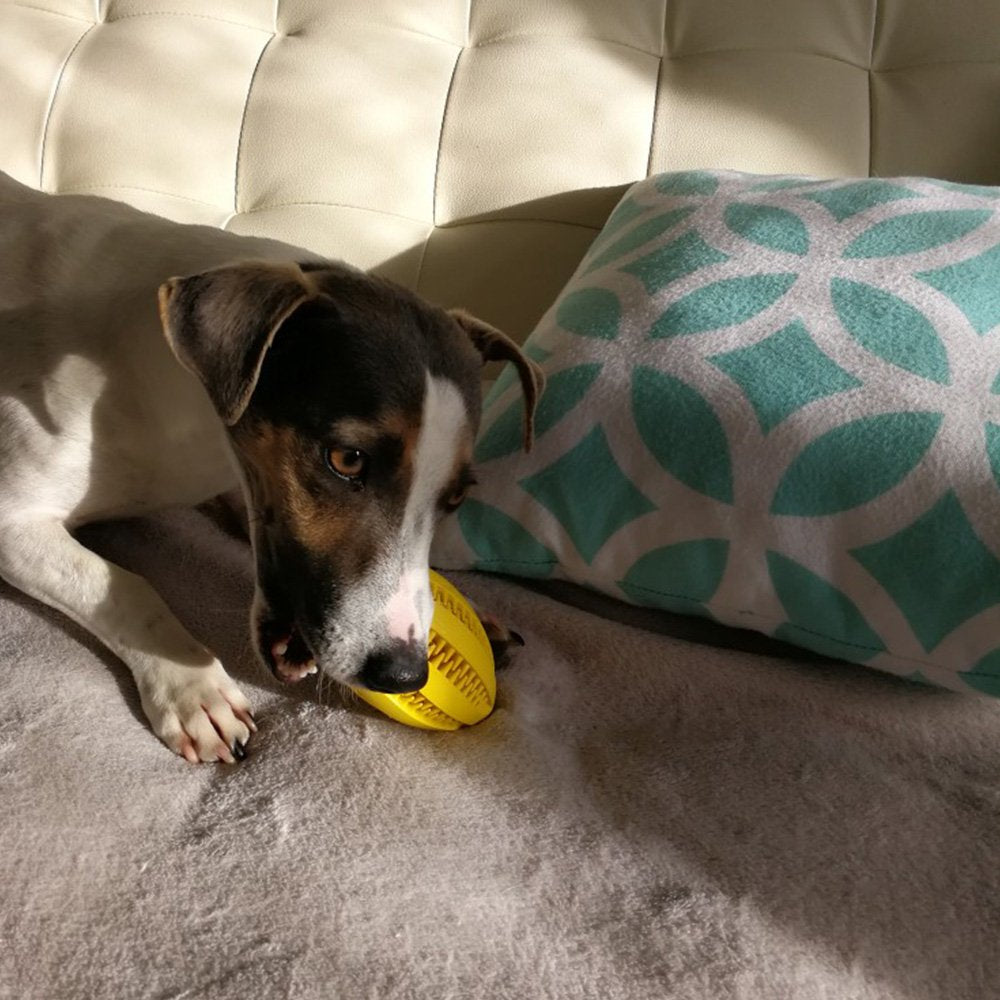 Langxian Dog Toy Ball, Nontoxic Bite Resistant Rubber Dog Tooth Chew Cleaning Interactive Toy IQ Training Ball,Suitable for Smal