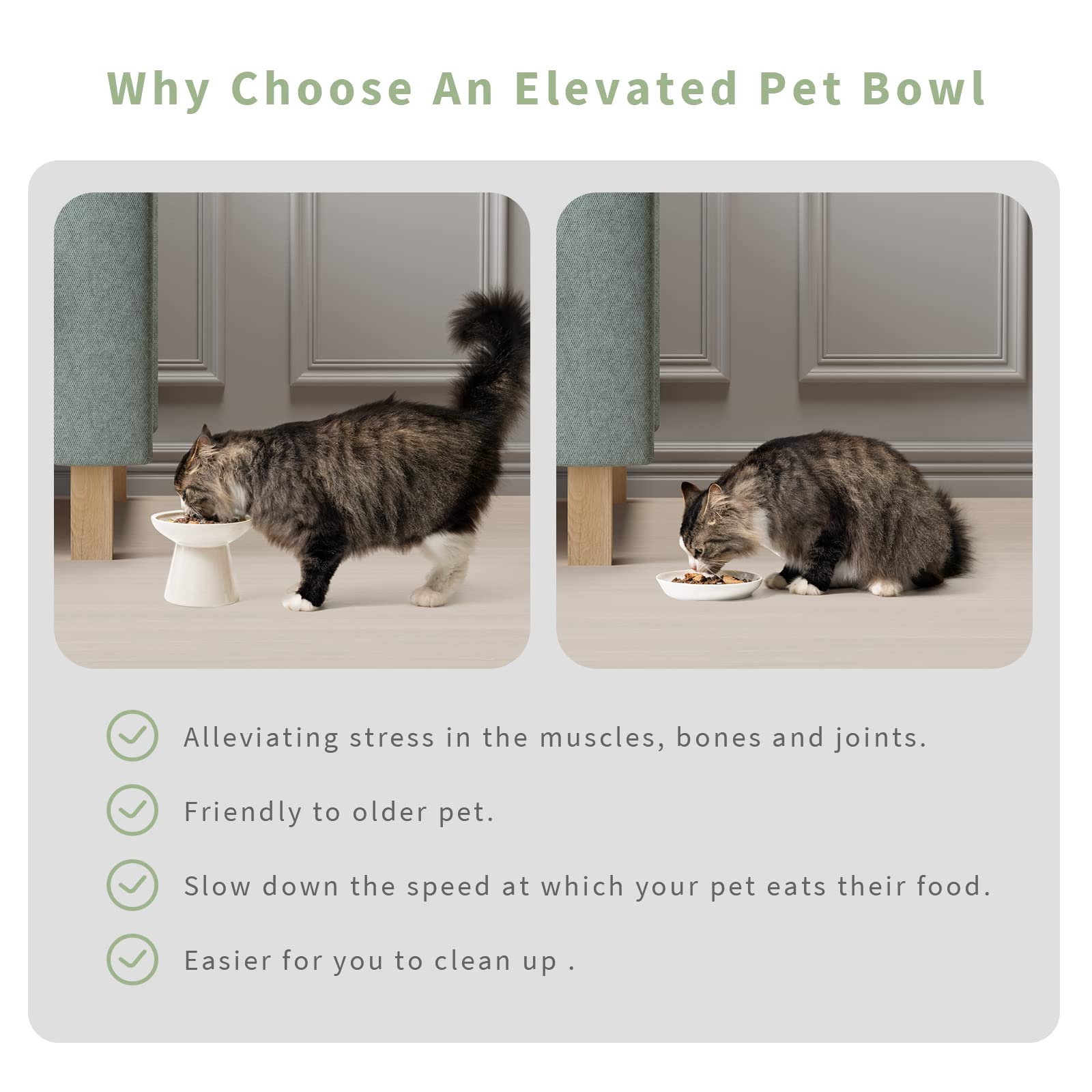 CEEFU Extra Wide Elevated Ceramic Cat Water Bowl - 6.2  Deeper Dish for Whisker Fatigue Relief, 5  Height for Easy Feeding, Lead