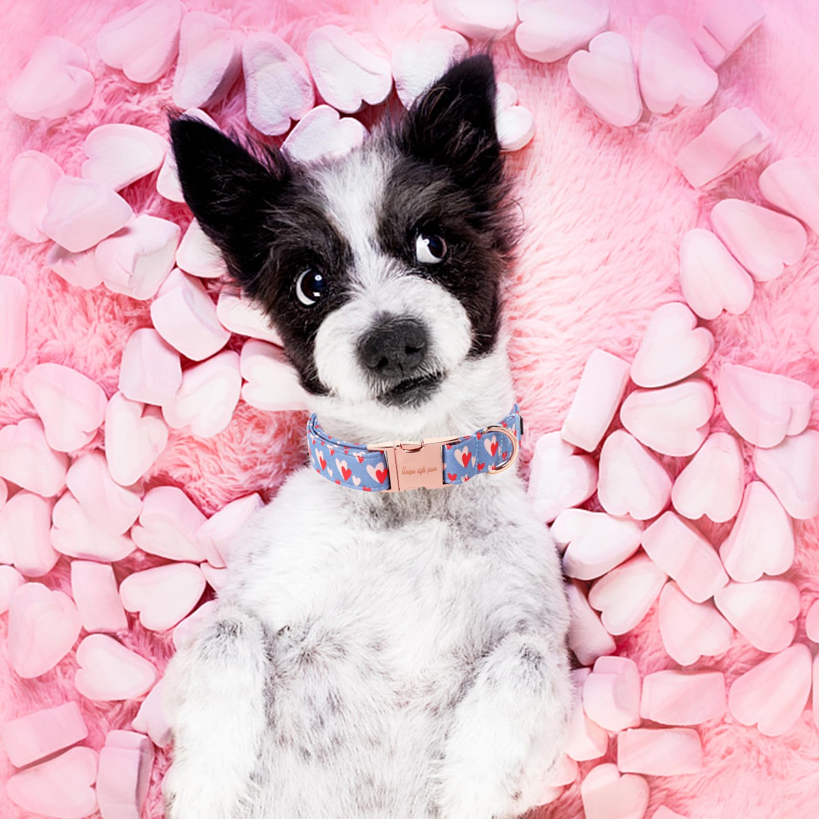 Unique Style Paws Valentine'S Day Dog Collar Metal Buckle Collar Blue Pink Love Heart Gift For Small Medium Large Boys Girls Dog