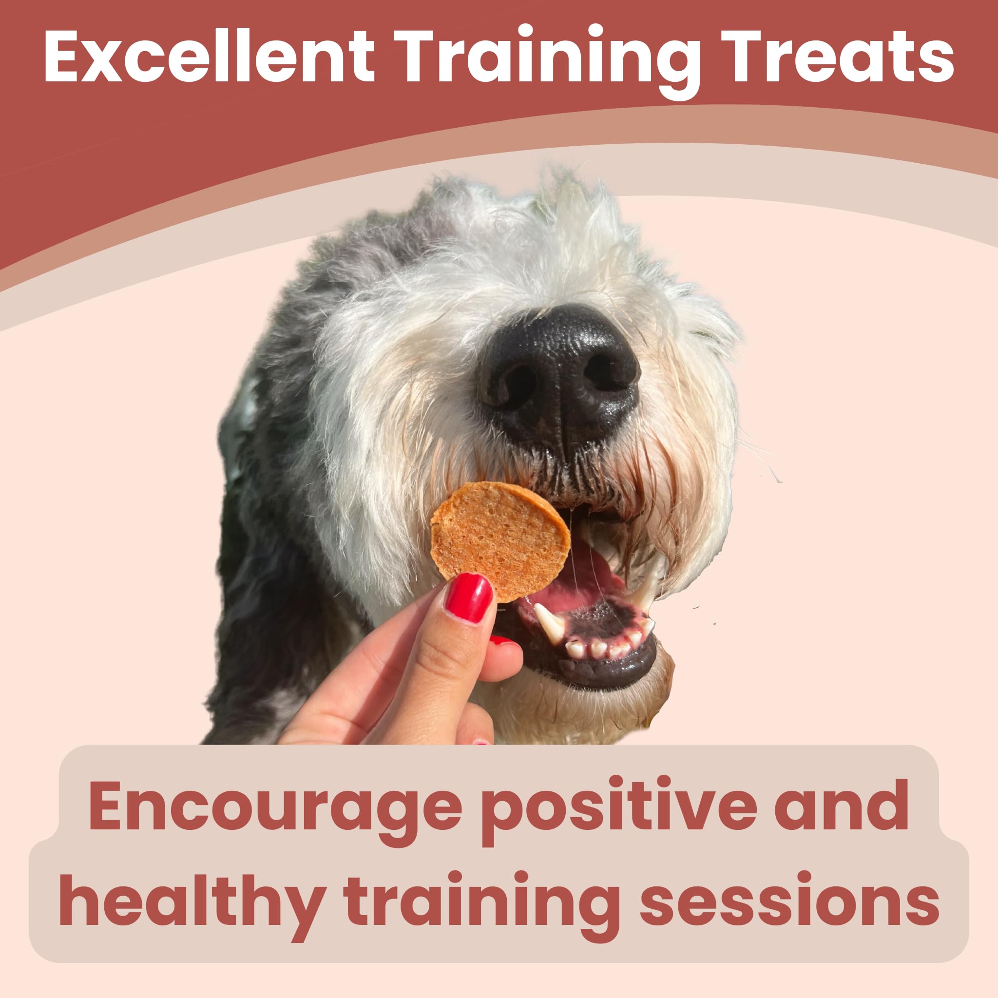 Farm To Pet Dog Training Treats, Healthy Turkey Dog Treats - 12 oz, Crunchy, Single Ingredient, All Natural Turkey Chips, Easy t