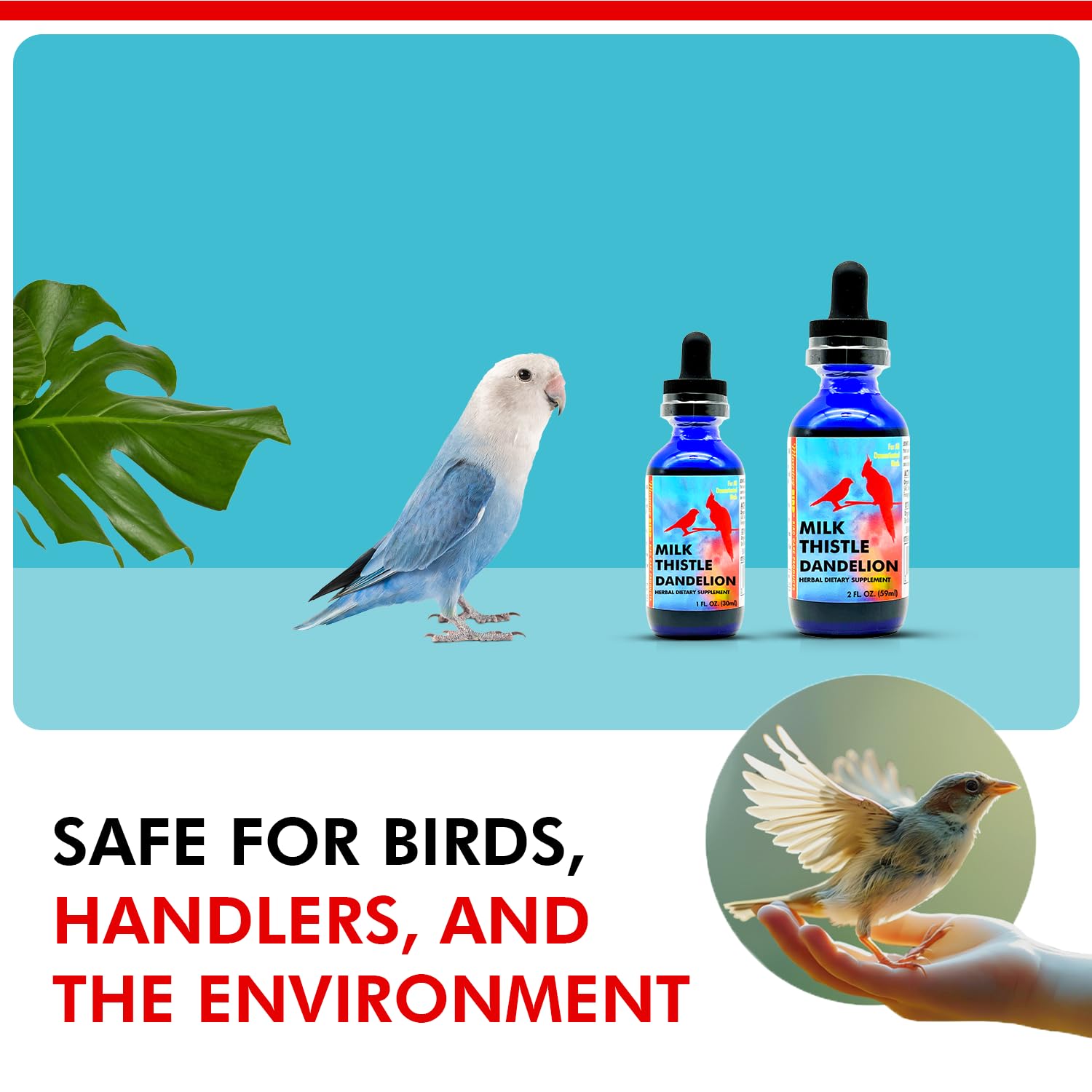Morning Bird Milk Thistle & Dandelion Extract - Organic Bird Supplement for Optimal Health - Support Liver Heath & Promotes Deto