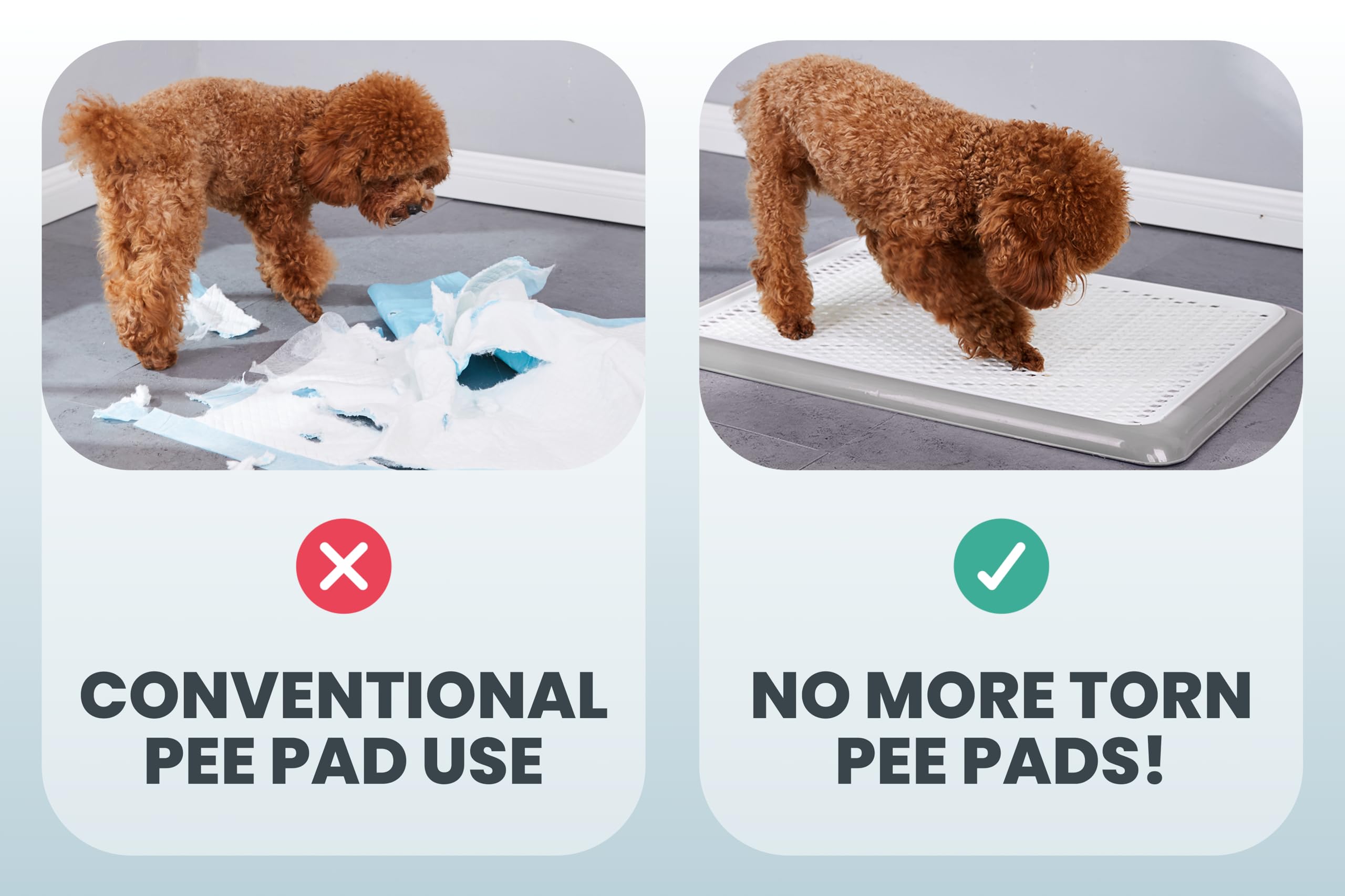 Pet Awesome Dog Potty Tray/Puppy Pee Pad Holder 25   X20    Indoor Wee Training For Small And Medium Dogs