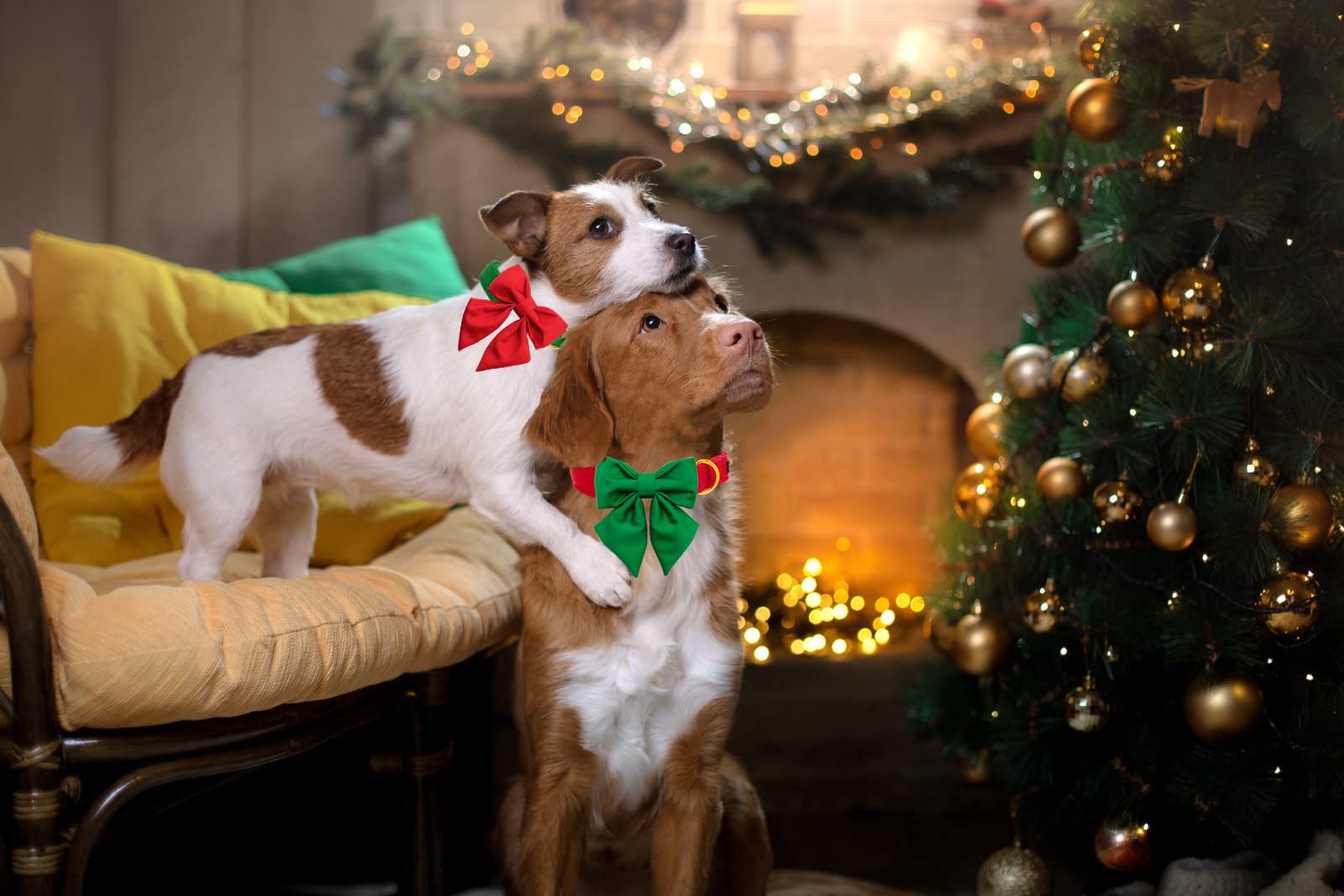 Maca Bates Christmas Dog Collar With Bow Bowtie For Dogs Sailor Bow Tie Adjustable Breakaway Red Green Collars Accessories Gift