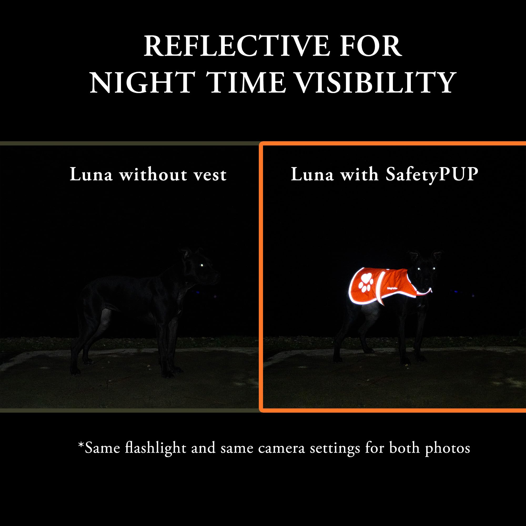 Safetypup Xd Reflective Dog Vest. Hi-Visibility, Fluorescent Blaze Orange Dog Vest Helps Protect Your Best Friend. Safeguard Your Pup From Motorists & Hunting Accidents, On Or Off Leash. (Large)
