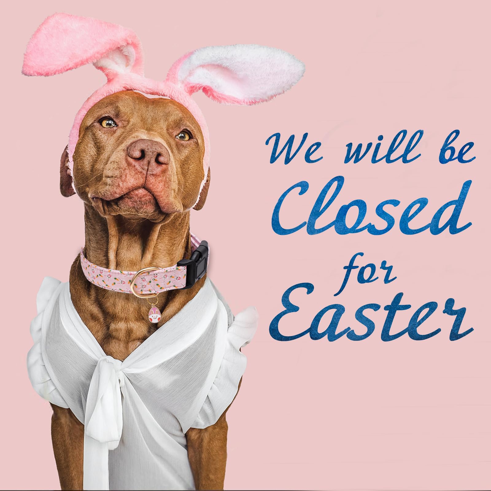 Faygarsle Cute Easter Collar For Small Medium Large Dogs Girl Boy Female Male Dog Pink Cotton With Adorable Rabbit Print Easter Puppy Collar With Easter Egg Charm Xs