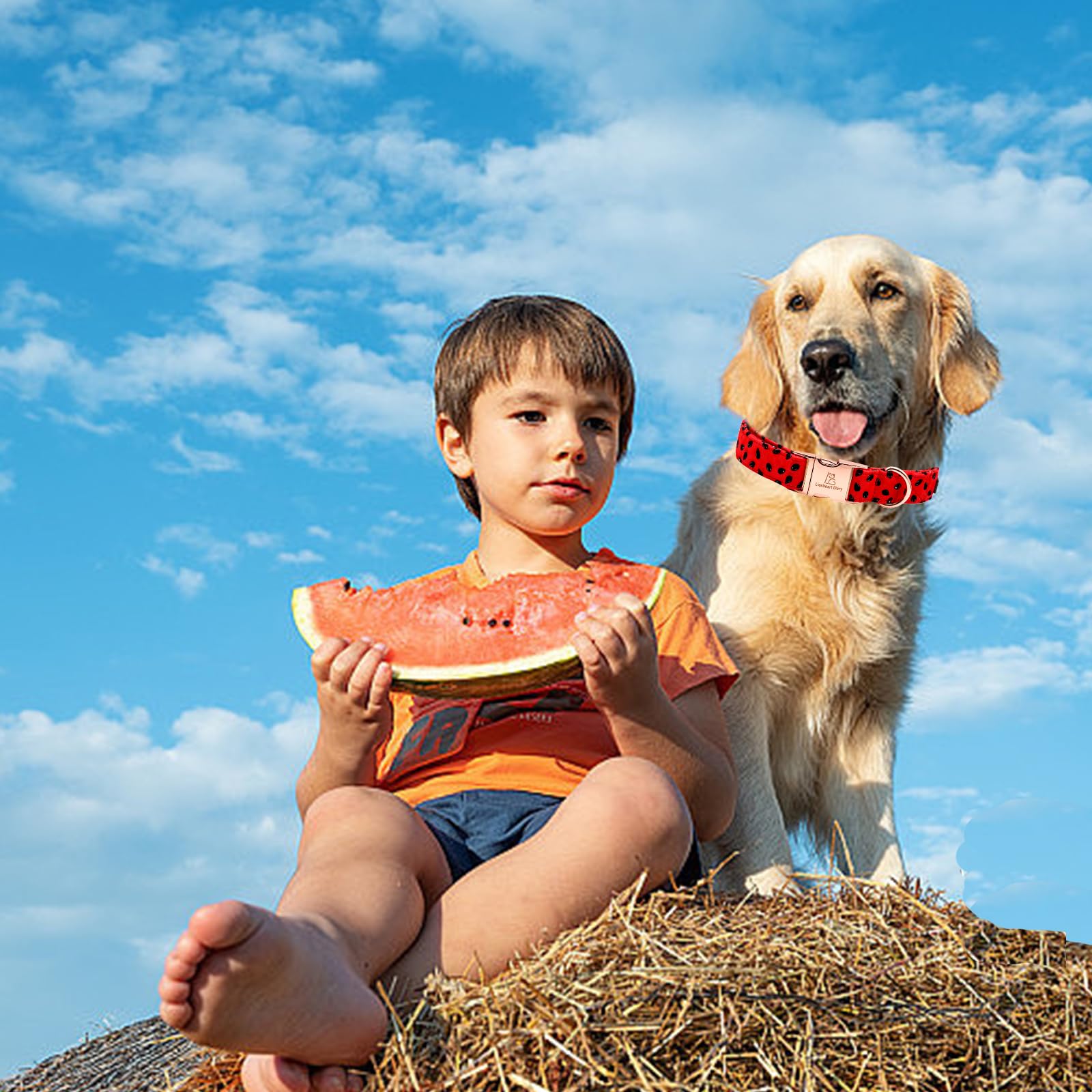 Lionheart Glory Watermelon Print Dog Collar - Soft, Durable, Adjustable For Small Dogs - Spring/Summer