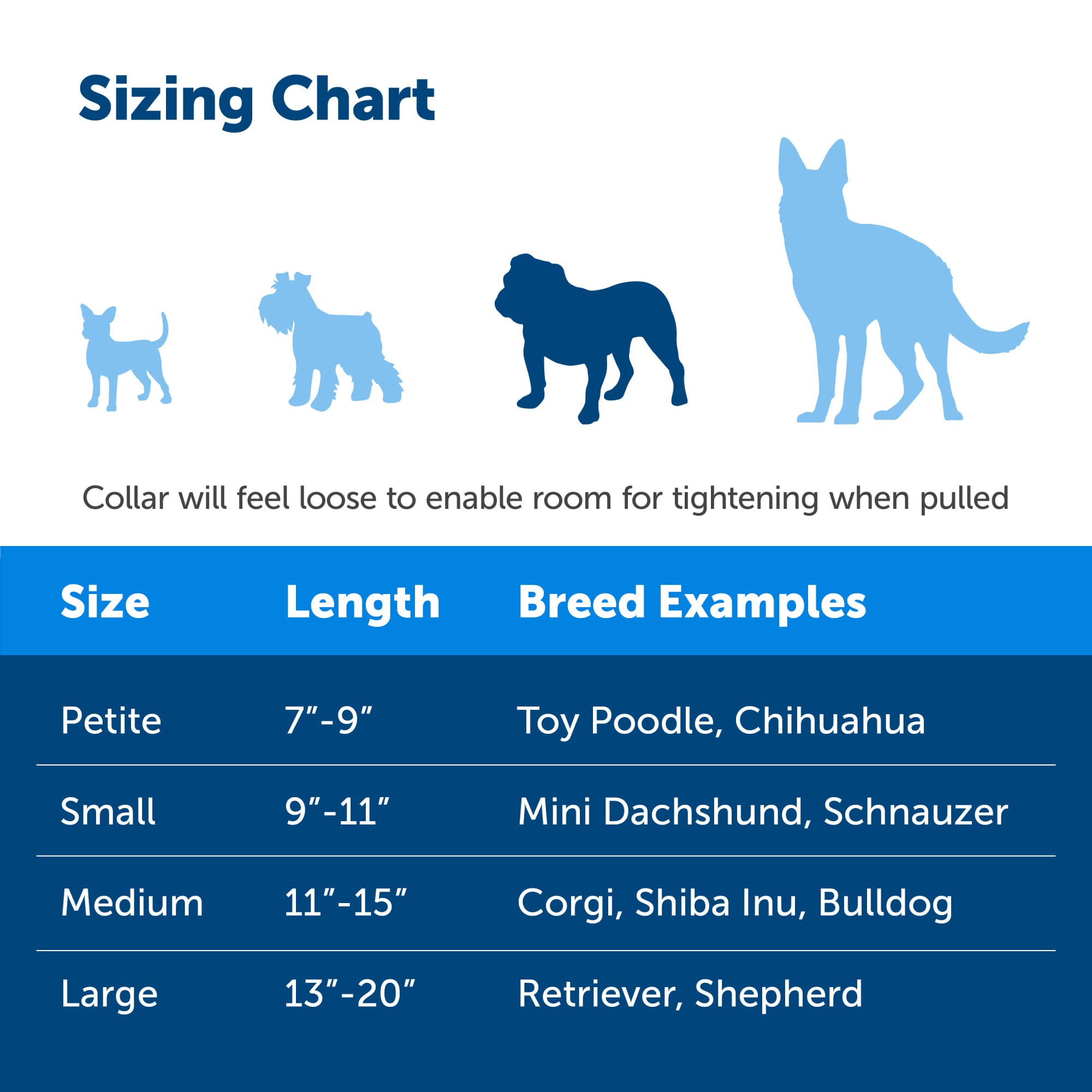 Petsafe Martingale Dog Collar With Quick-Snap Buckle - Medium, 3/4 Inch, Black