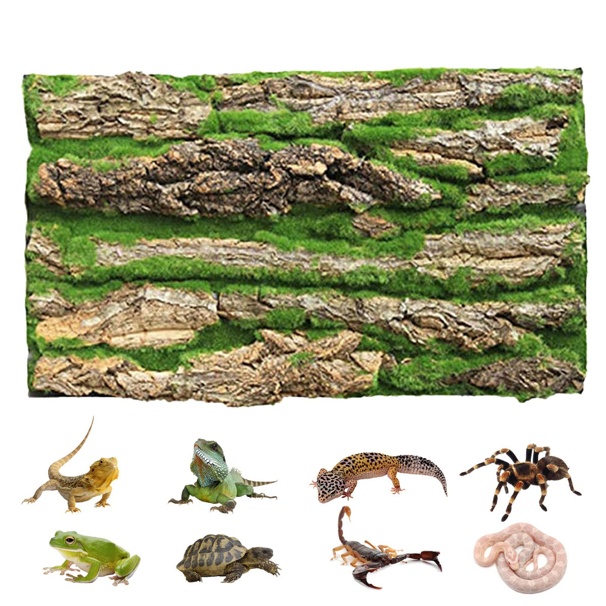 Pinvnby Reptile Cork Terrarium Background,Bearded Dragon Tank Natural Bark Backdrop Wall Habitat Decor With Artificial Moss,23.6'X15.7' Reptile Carpet For Gecko Lizard Tortoise Frog Chameleon