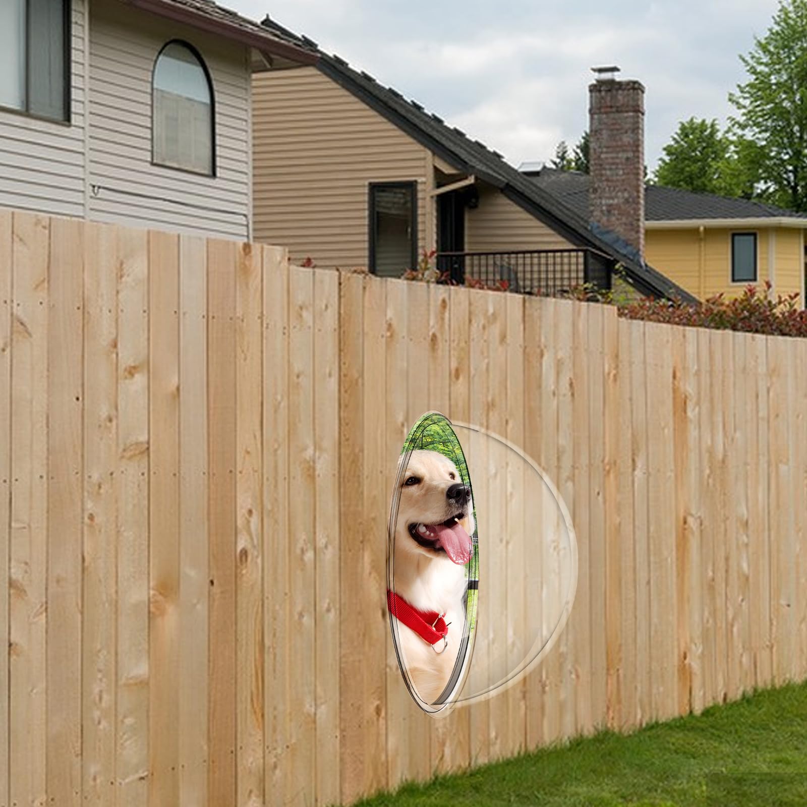 Hiyoo 2Pack Dog Fence Window With Air Holes, Length 12Inch Deep 6 Inch Acrylic Clear Pet Dome View For Cat Doggie See Outside, B