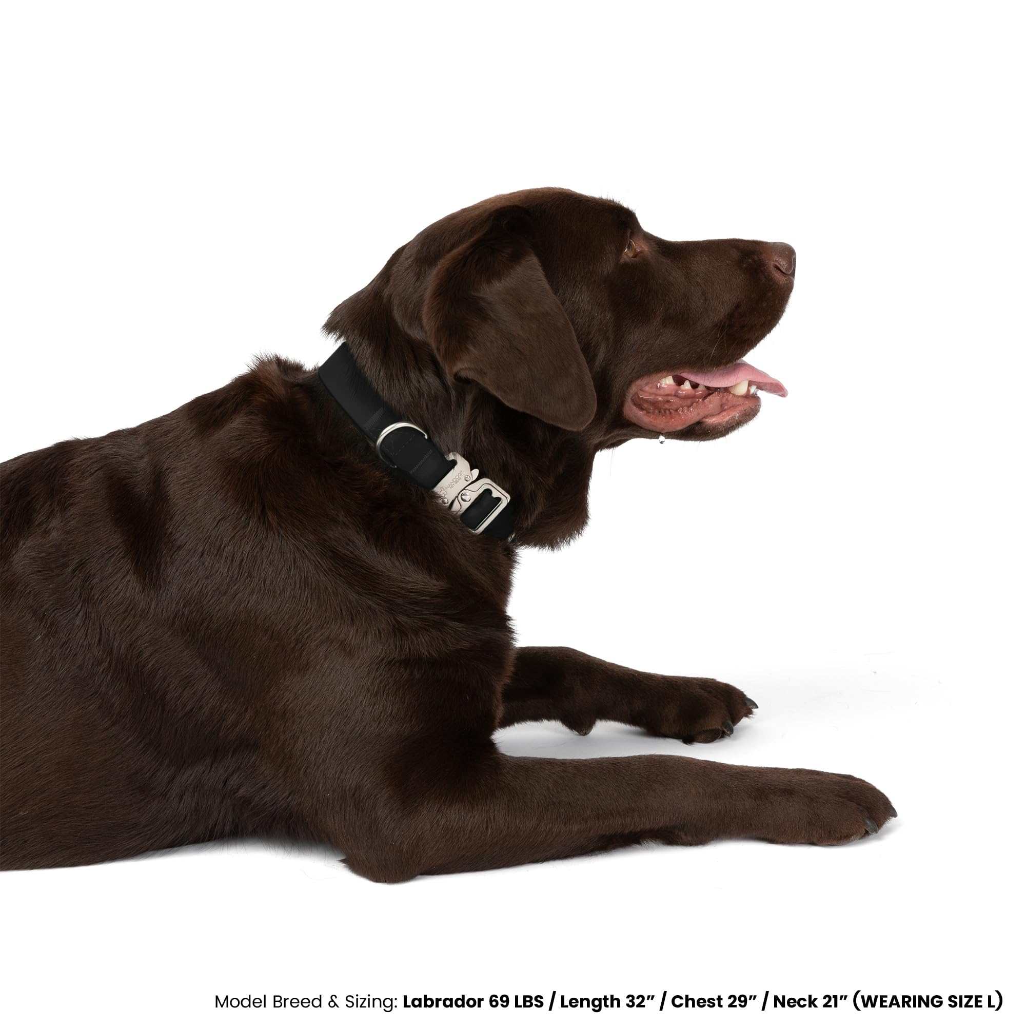 Nandog The Signature Collection Waterproof Poly-Flex Sport Dog Collar In Medium, Black - Durable & Adjustable - Secure Double La
