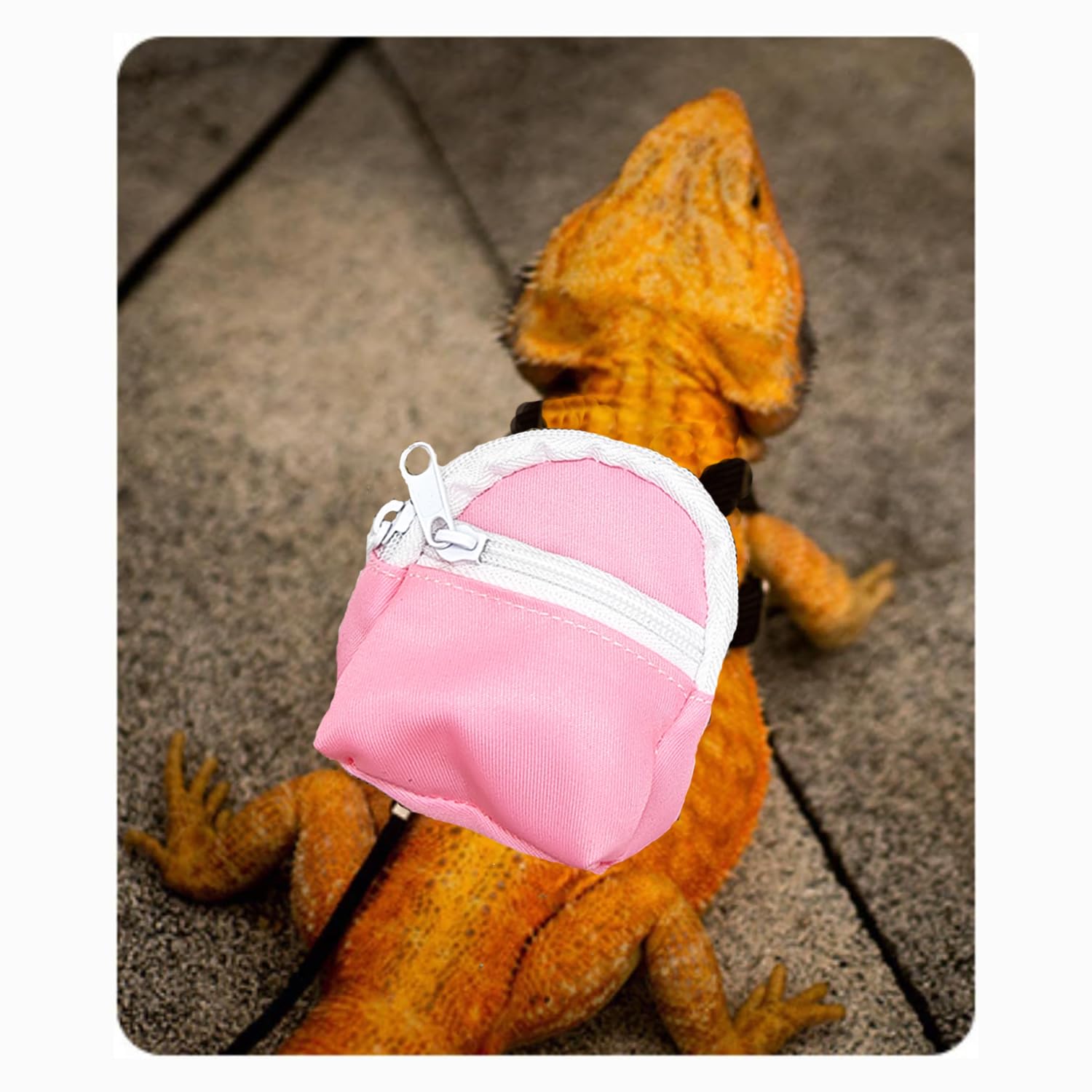 Leopard Gecko Backpack Carrier,Reptile Portable Backpack Carrier With Small Backpack Harness Leash Set,Space Capsule Clear Bubbl