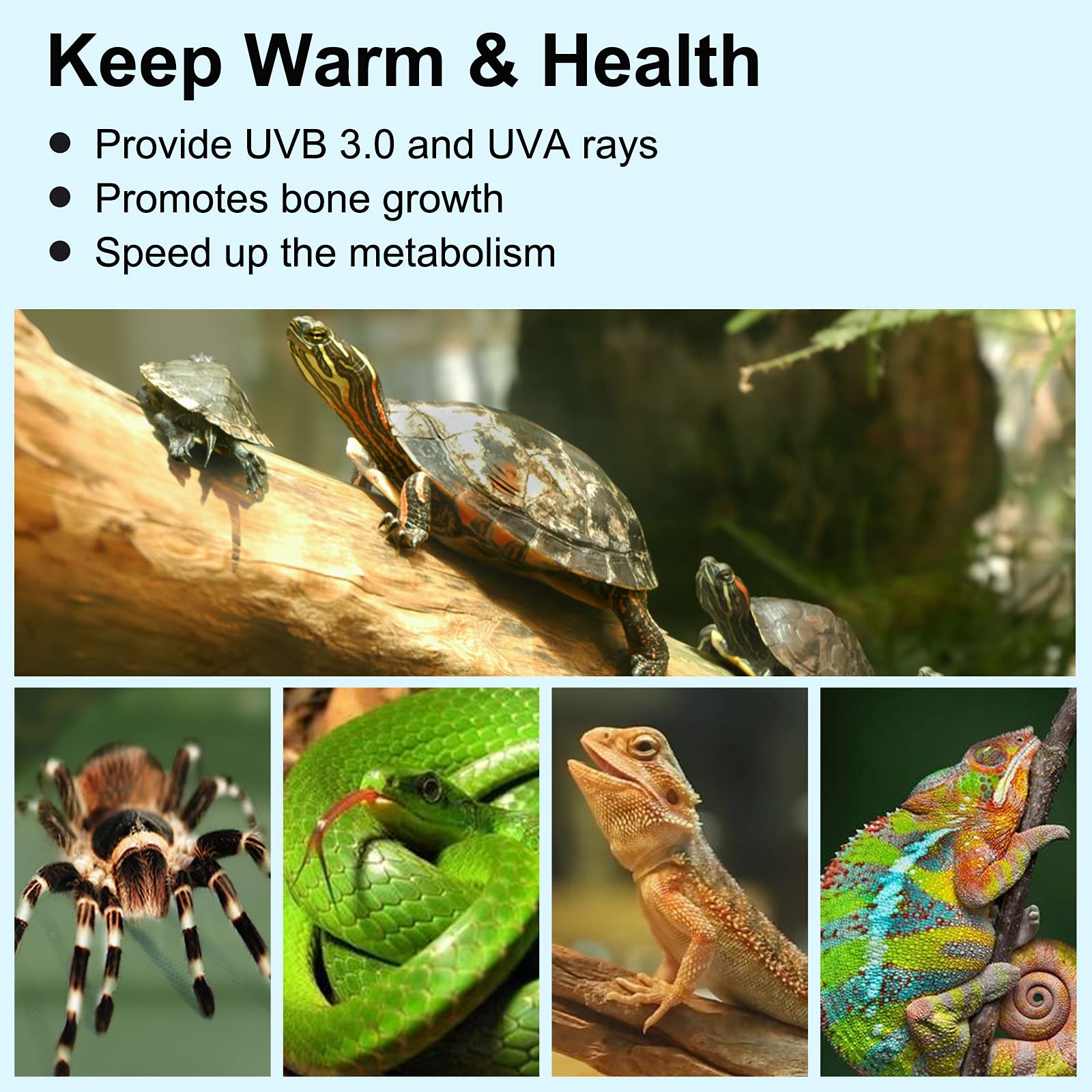 Pewingo Reptile Heat Lamp, Lamp For Aquarium Turtle Tank With 25W+50W Basking Spot Light Bulbs And 360?Swivel Clamp For Turtle, Snake, Lizard, Cockatoo, Chameleon Etc