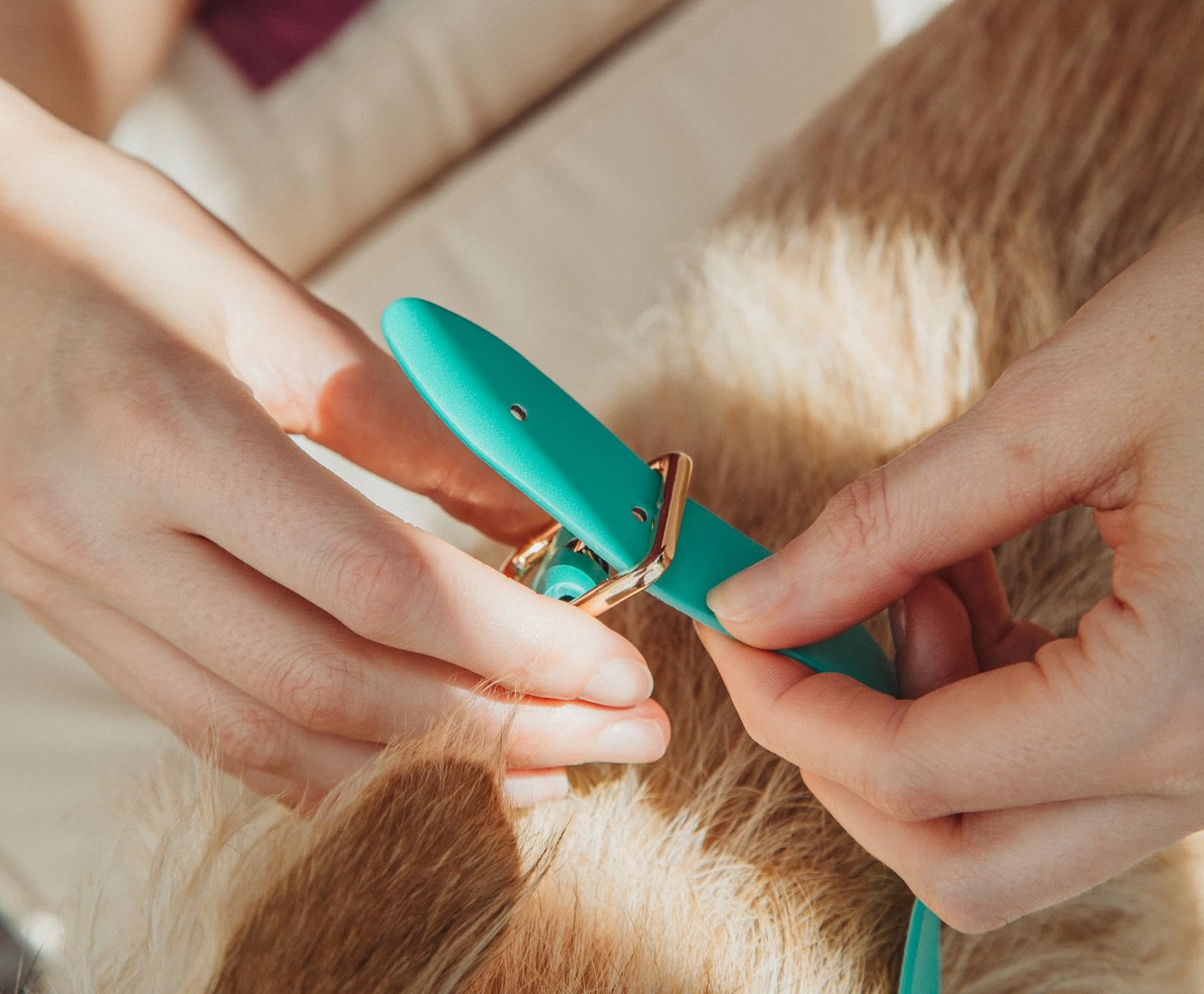 Scooby-Doo Blue Dog Collar Necklace Replica With Pendant Charm And Adjustable Strap | Costume Jewelry For Cosplay, Display, And Everyday Wear