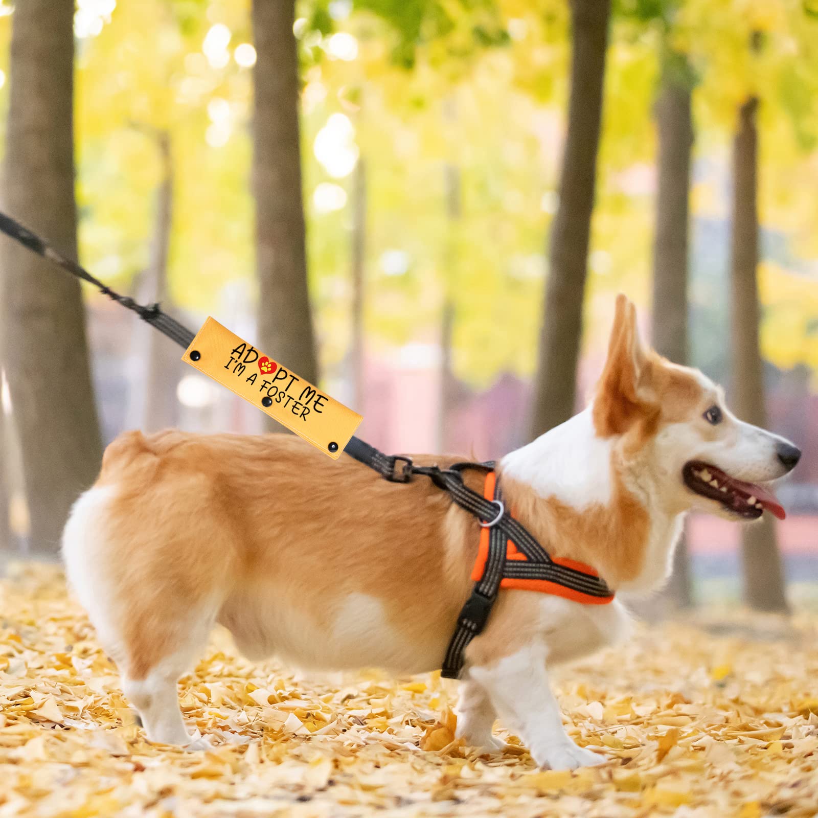 Pwhaoo Adopted And Adored Dog Adopt Me Leash Sleeve Adopt Me Leash Sleeve New Puppy Dog Leash Wrap Gift (Adopt Me I'M A Foster Sleeve)