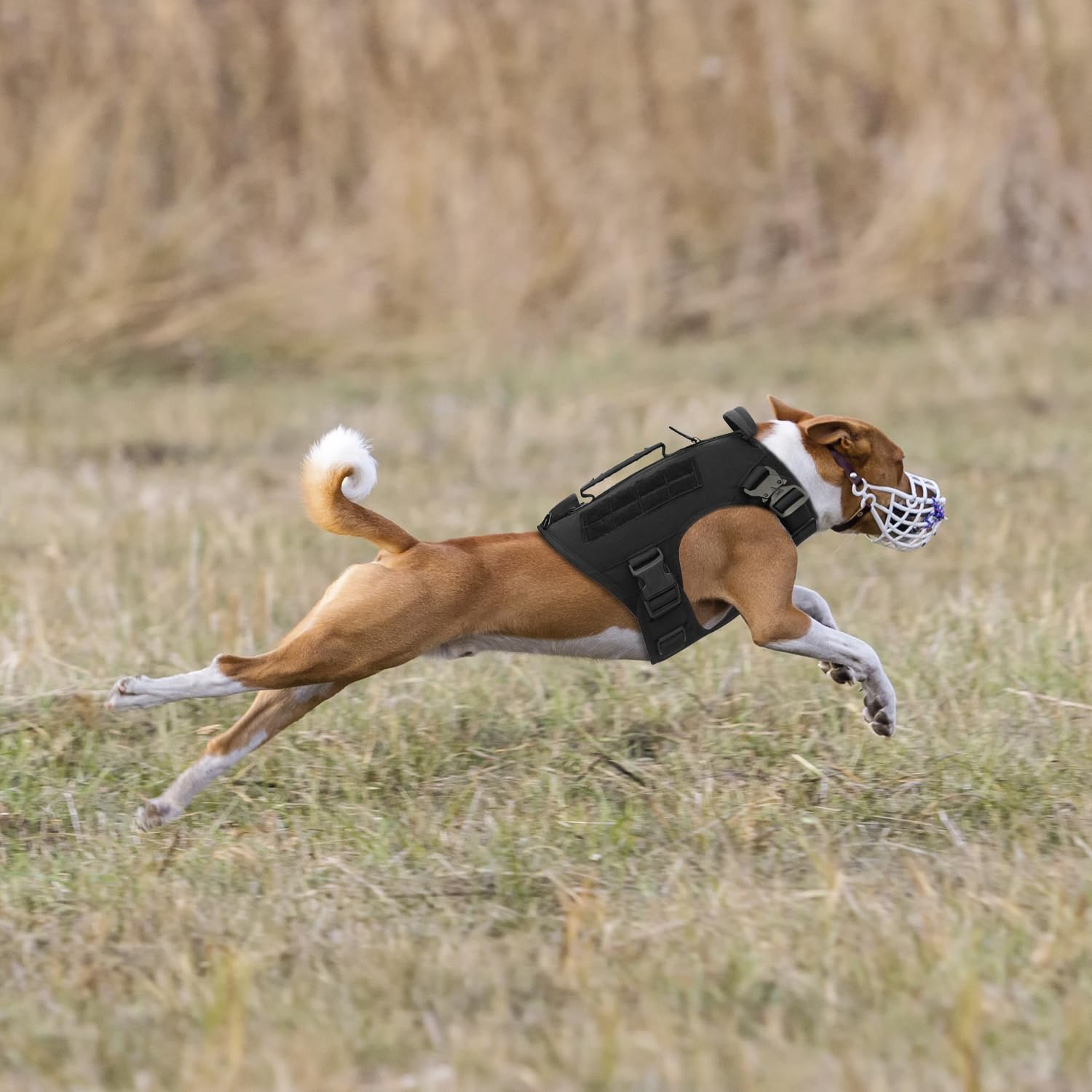 Tactical Dog Harness For Medium And Large Dogs No Pull Adjustable Dog Vest For Training Hunting Walking Military Dog Harness With Handle Service Dog Vest With Molle & Loop Panels Black,Xl(Vest Only)