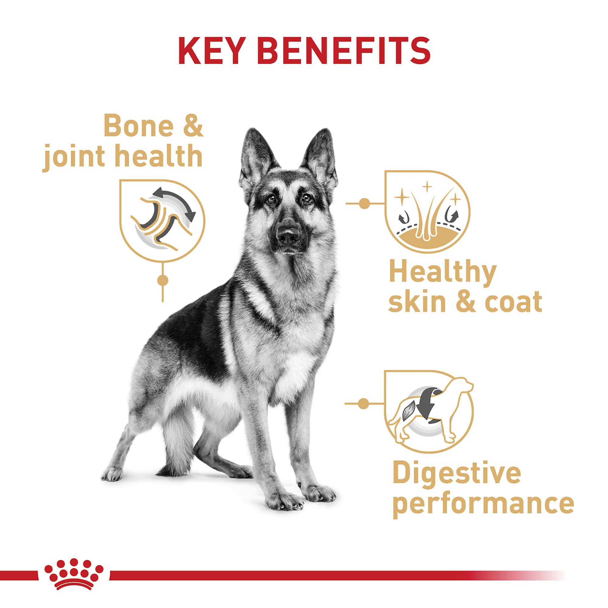 Royal Canin German Shepherd Adult Dry Dog Food, 30 lb bag