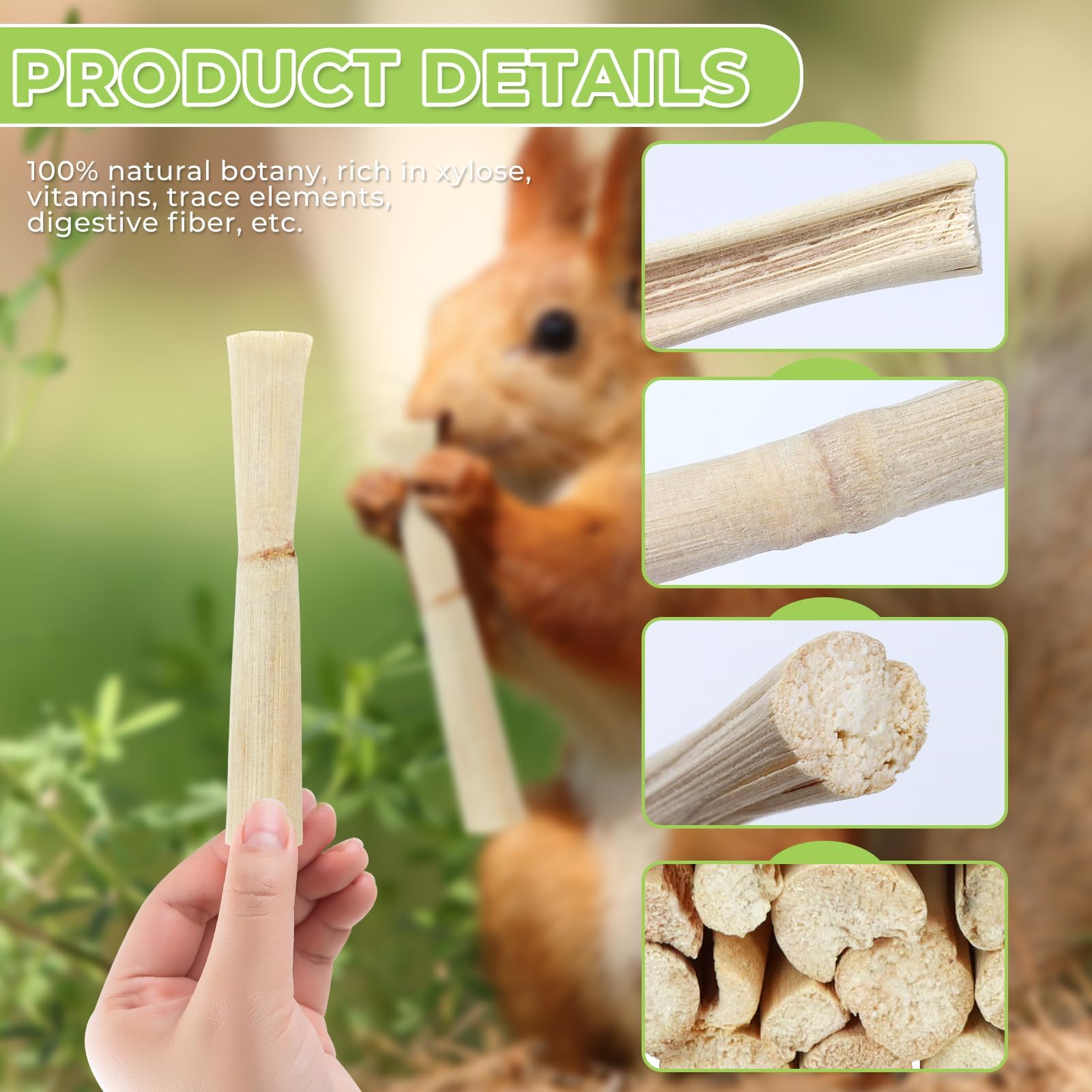 Wyomer 1Lb Natural Sweet Bamboo Chew Toys - Animal Molar Sticks For Pet Snacks