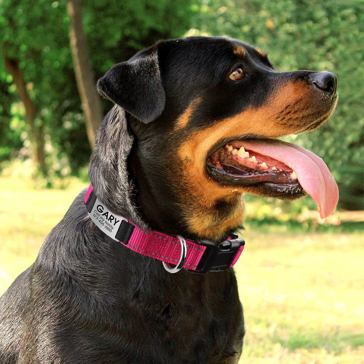 Joytale Personalized Dog Collars, Reflective Nylon Dog Collar With Engraved Name Plate, Customized For Xlarge Dogs, Hotpink, Xl