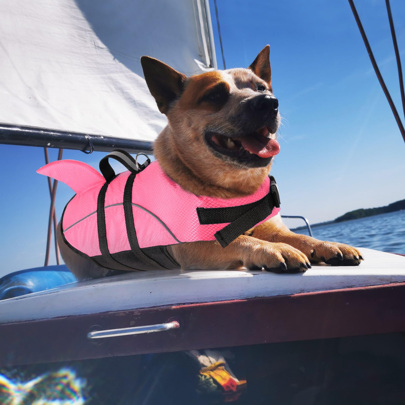 Queenmore Small Dog Life Jacket,Shark Dog Life Vest for Swimming,Puppy Light Life Preserver for Boating kayaking Canoeing,Pet Re