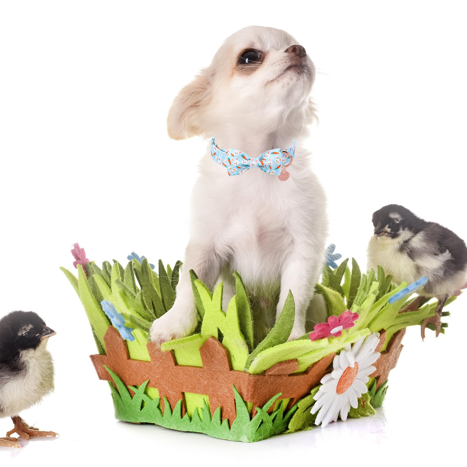 Up Urara Pup Easter Dog Collar With Bow Tie, Cotton Easter Carrot Bowtie Collar For Large Girl Boy Dog, Cute Bunny Pet Collar Wi