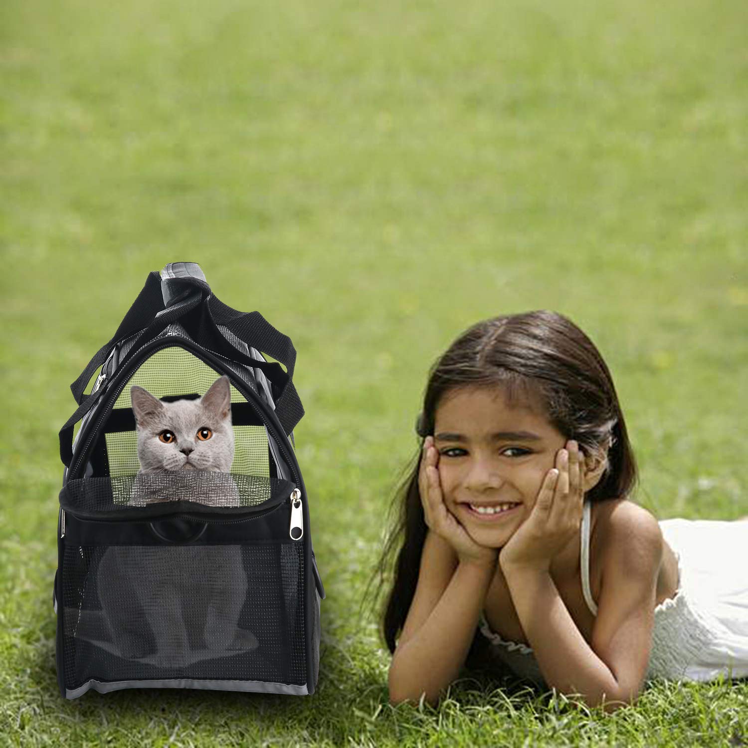 Muchl Cat Carrier Soft-Sided Pet Carrier For Small Medium Cats, Puppies, Dog Carrier Pet Travel Bag For Small Dogs Comfort Portable Foldable Pet Bag Airline Approved (Medium Black)
