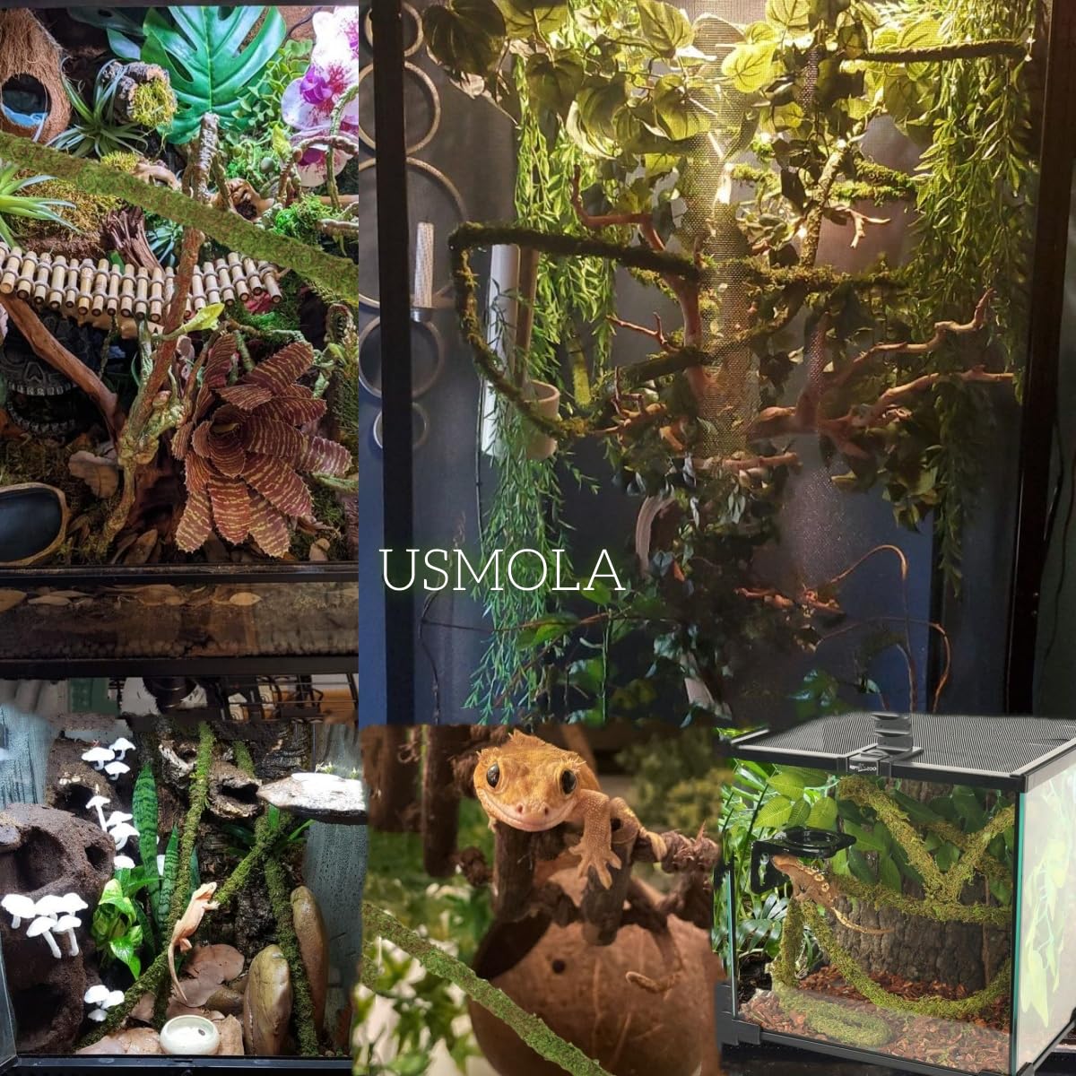 USMOLA Moss Vine for Reptiles, Bendable Climbing Vines Reptile Tank Accessories, Natural Moss Rope for Leopard Gecko, Lizard, Sn