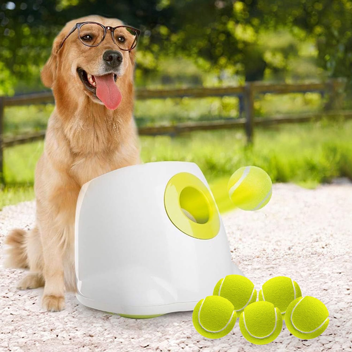 All For Paws Automatic Dog Ball Launcher For Medium To Large Dogs, Interactive Dog Ball Thrower Mental Stimulation Dog Toys, Dog