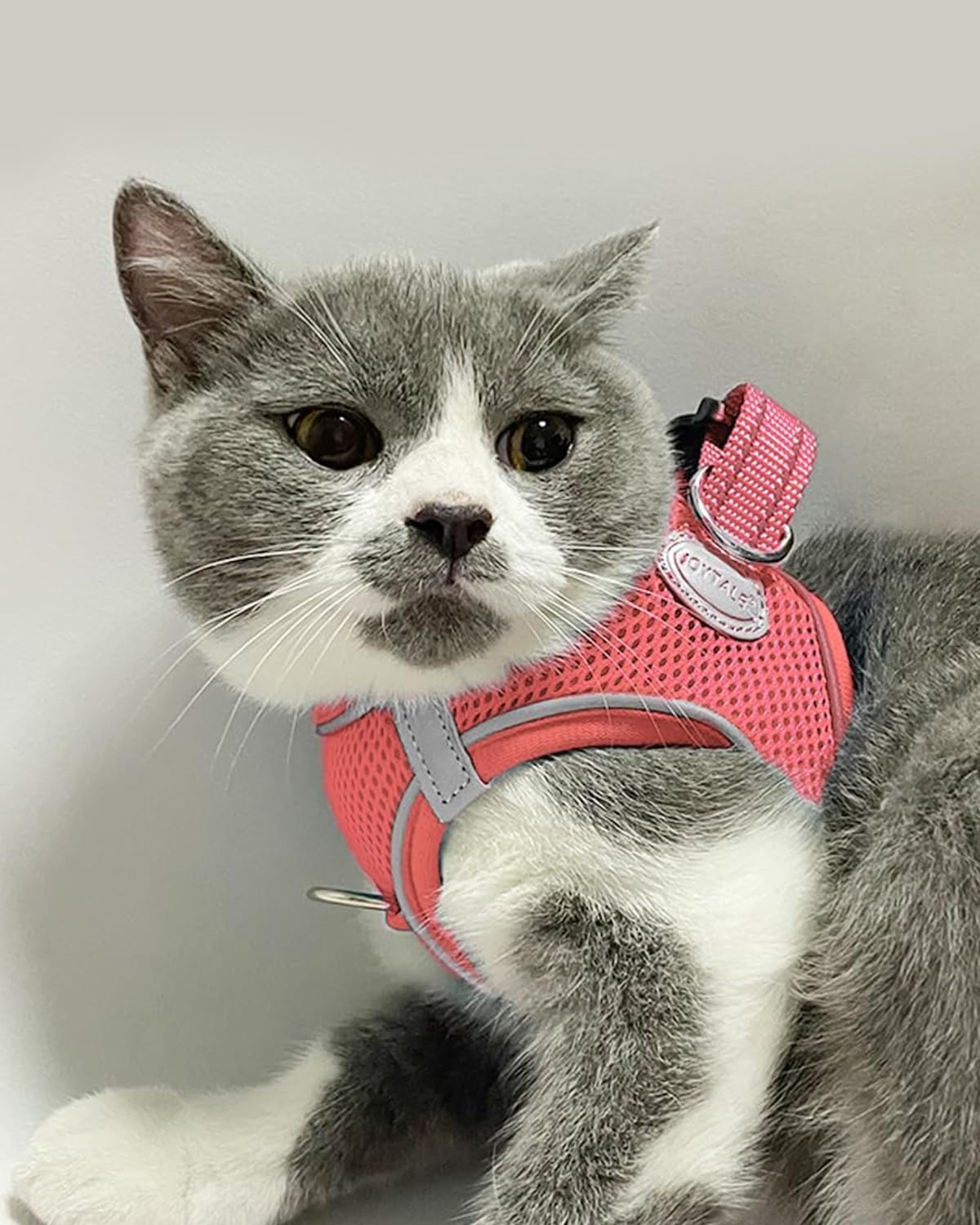 Joytale Step In Dog Harness,12 Colors,Breathable Mesh Vest Harness,Reflective Soft Padded Harnesses For Cats And Puppies Dogs,Pink,Xxxs