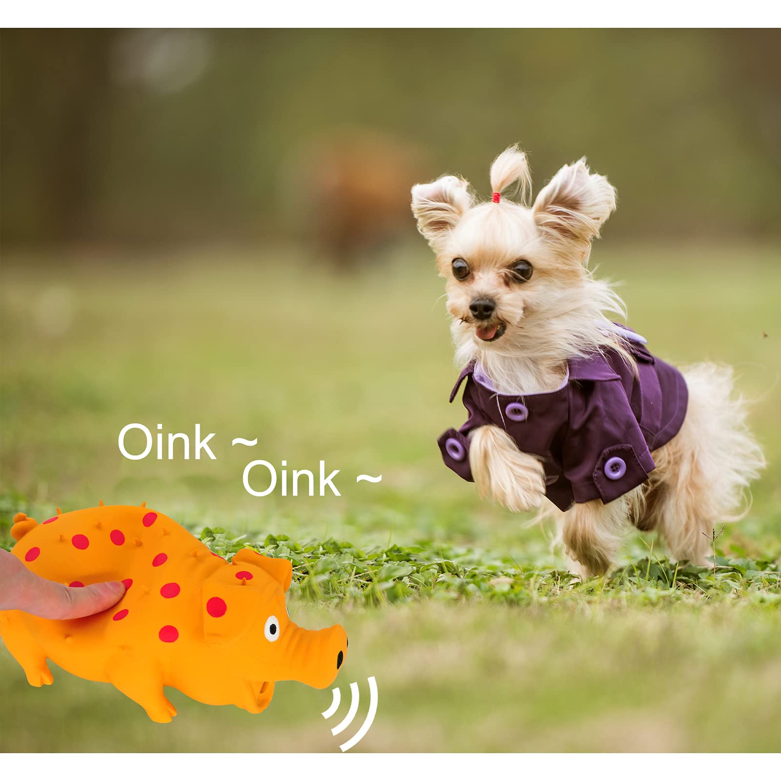 Andiker Dog Squeaky Toy, Dots Latex Dog Chew Toys With A Oinks Sound Squeaker Grunting Pig Dog Toy Sturdy Self Play 8' Dog Squeeze Toy For Dental Biting Chasing To Kill Boring Time (Orange)