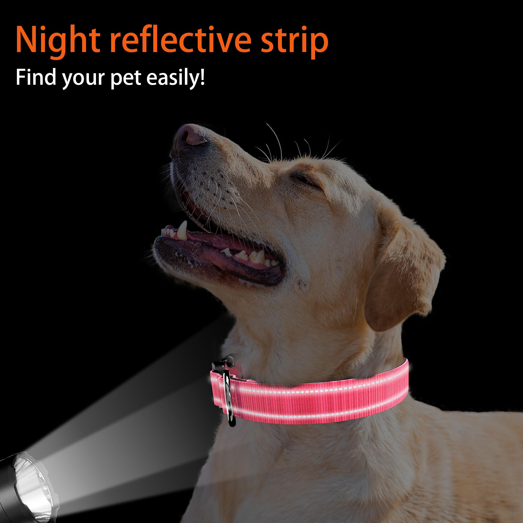 Airtag Dog Collar With Qr Code, Reflective And Soft Padded, Safety Locking Buckle, Adjustable For Medium Dogs (M-With Airtag Hol