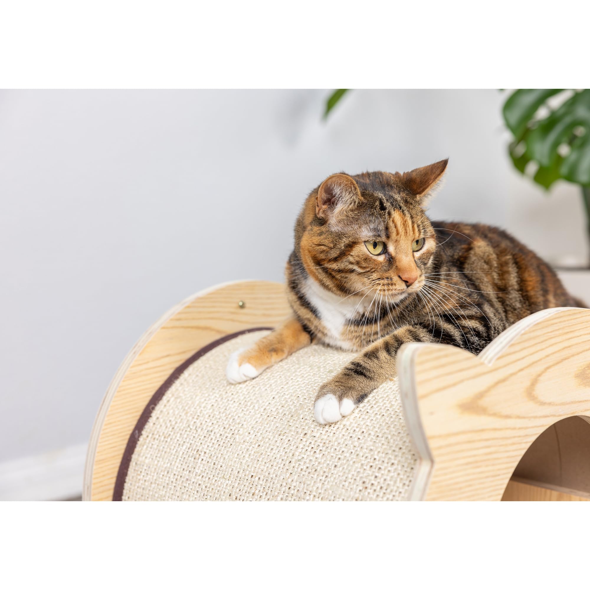 Armarkat Model S1203 Premium Wood Cat Hideaway, 15''(L) X 15''(W) X 16''(H)