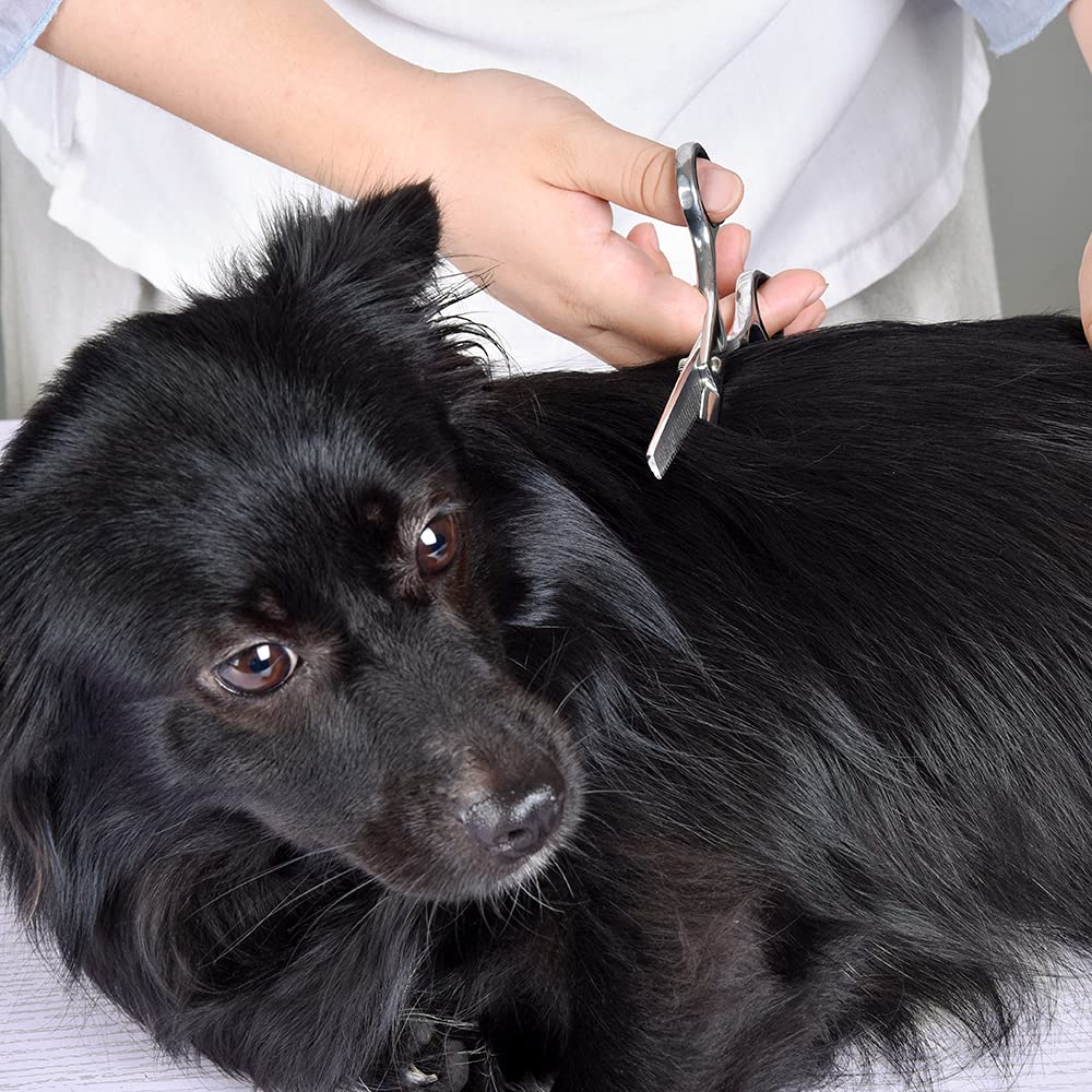 Chibuy Dog Grooming Scissors 4Cr Stainless Steel Pet Thinning Shears For Dogs And Cats, Heavy-Duty Titanium Coated Home Dog Thinning Scissors, Size 6.7'