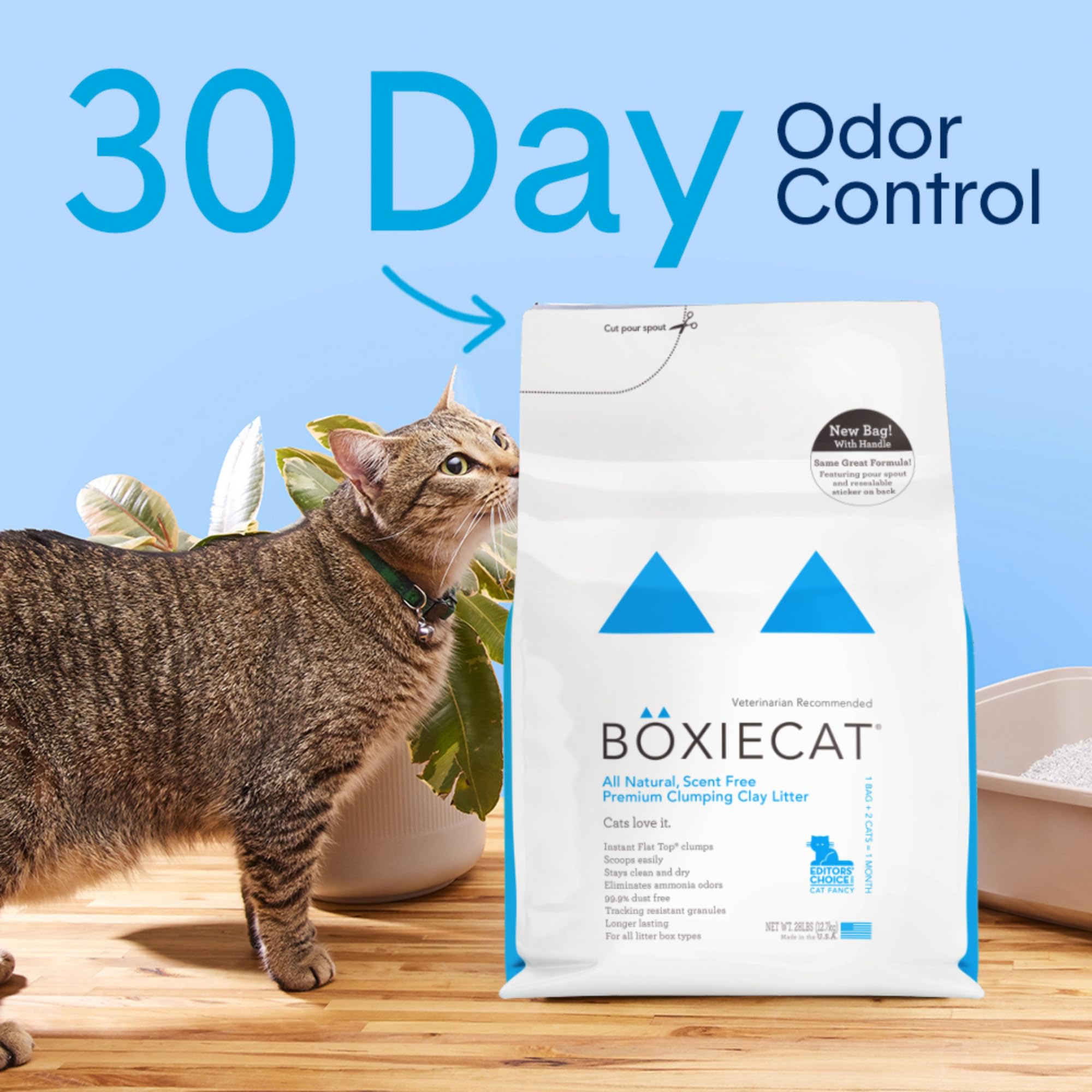 Boxie Unscented 30 Day Natural Odor Control Cat Litter, 40Lb Clumping Clay Kitty Litter