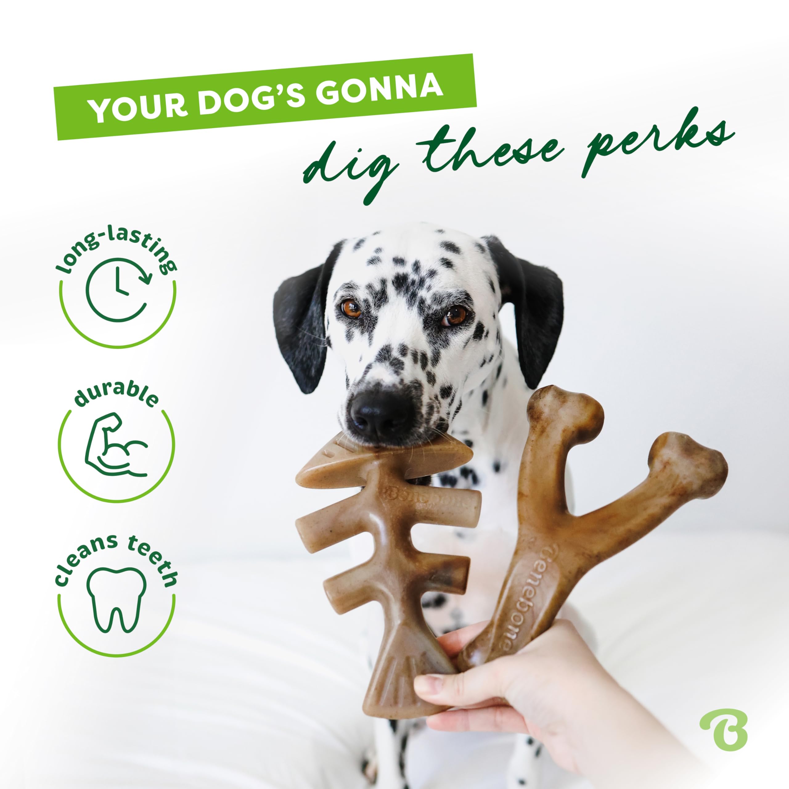 Benebone 2-Pack Fishbone/Wishbone Durable Dog Chew Toys, Real Fish, Real Bacon, Made In Usa, Medium