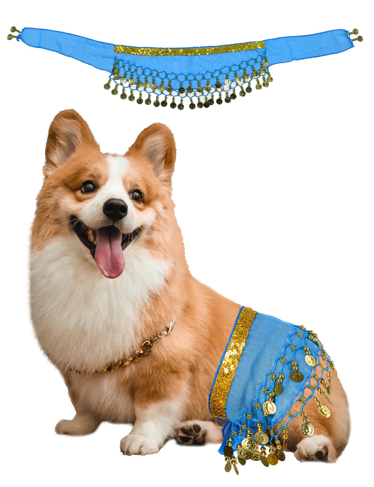 Dog Belly Dancer Costume - Puppy Outfit With Sequin Waist Chain & Hip-Shaking Skirt - Ideal For Corgi And Puppy Birthday Parties