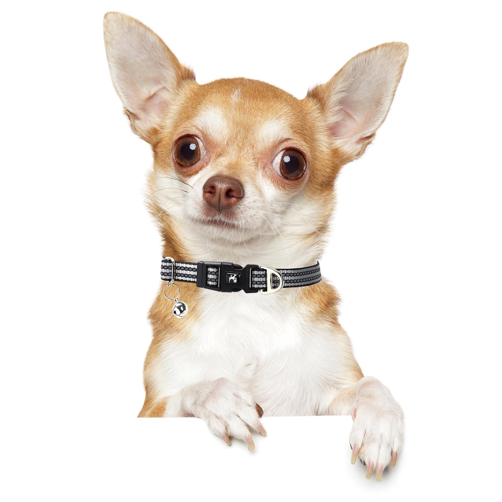 Onefojojo Reflective Dog And Cat Collar With Bell - Hypoallergenic Adjustable Puppy Collar For Small Pets, Soft Nylon Night Safe
