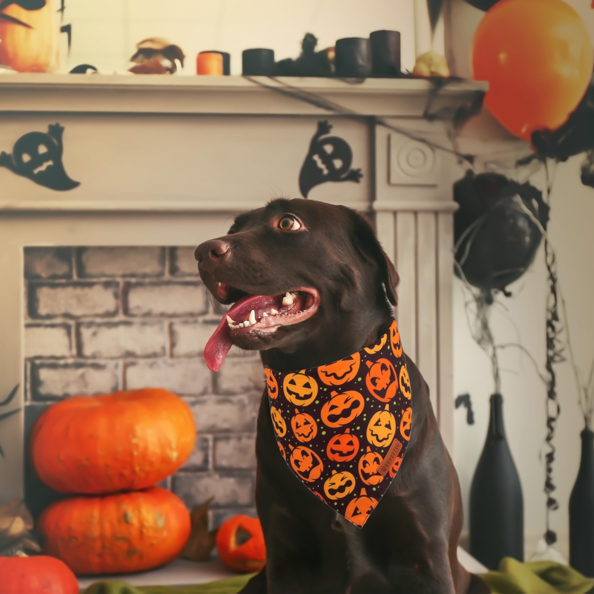 ADOGGYGO Halloween Dog Bandana, Pumpkin Bat Pet Scarf, Premium Durable Fabric, Adjustable Fit Halloween Bandanas for Large and E