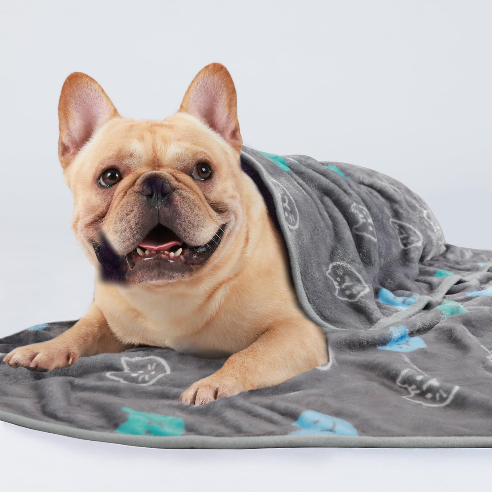 1 Pack 3 Blankets Super Soft Fluffy Premium Cute Cat Pattern Pet Blanket Flannel Throw for Dog Puppy Kitten Blue/Cyan/Grey Small