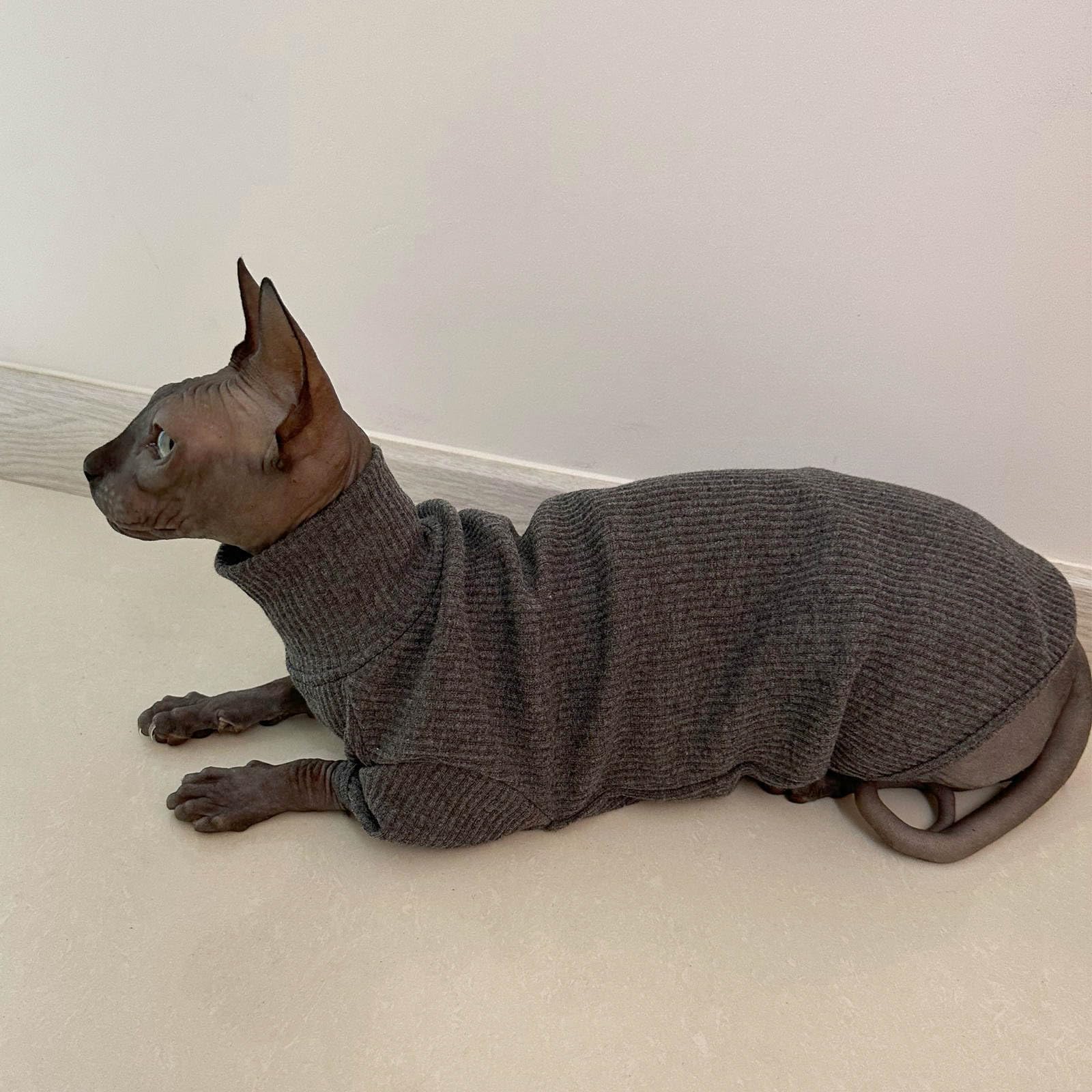 Kitipcoo Sweater For Sphynx Cat, X-Large, Deep Grey (Cotton, Turtleneck, Pull On, 1 Pack)