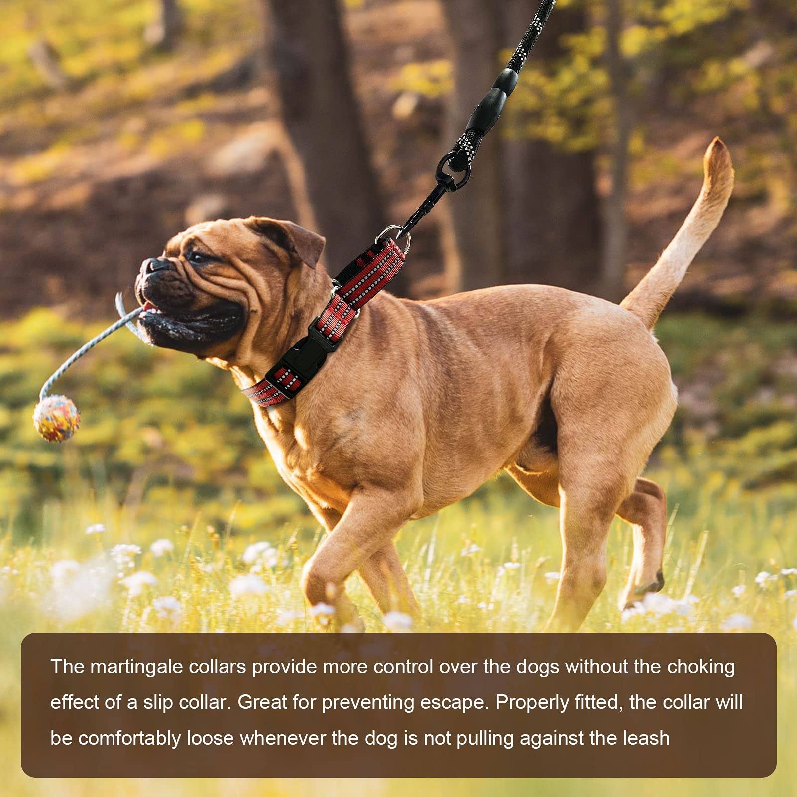 Martingale Dog Collars - Reflective Dog Collar With Quick Release Buckle Adjustable Nylon Training Dog Collar Suitable For Puppies For Small Medium Large Dogs.