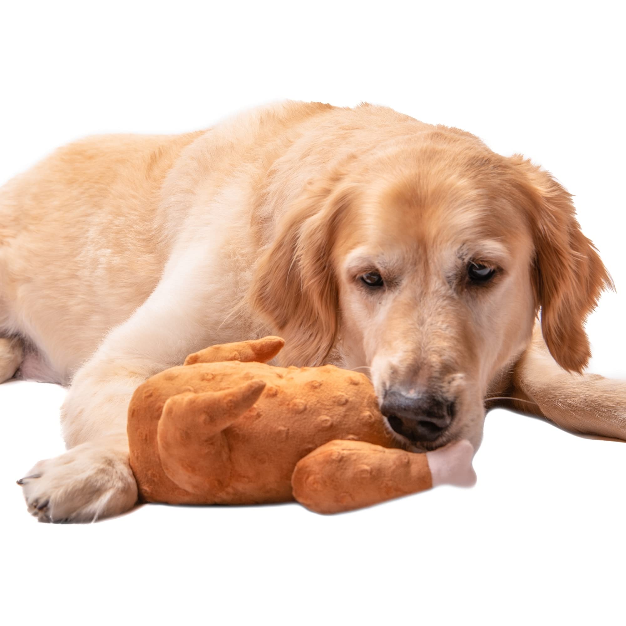 Midlee Roasted Thanksgiving Turkey Plush Dog Toy (Large)