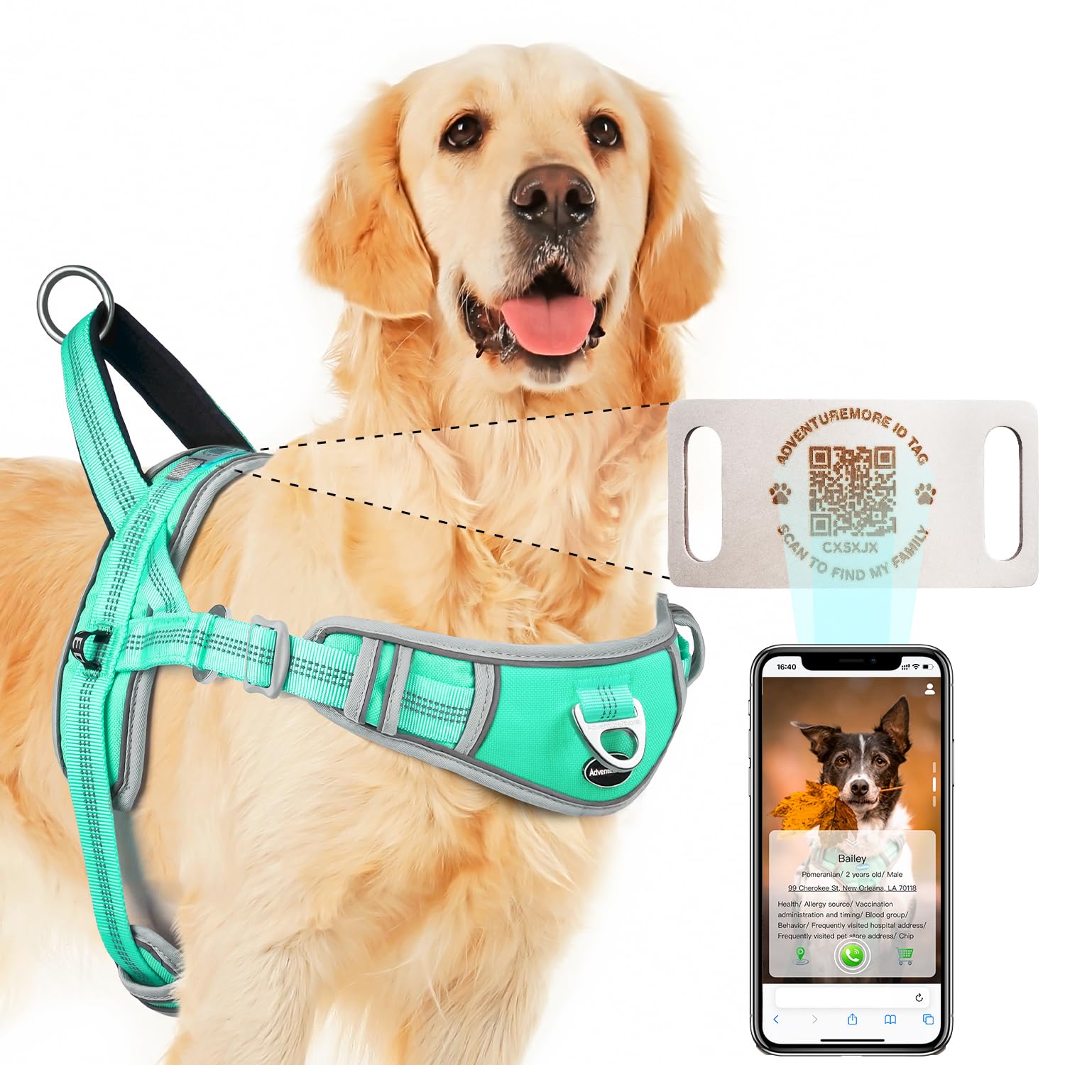 Adventuremore Small Dog No Pull Harness With Qr Code Tag, Reflective Vest, Front Clip Handle For Training Walking - L Teal