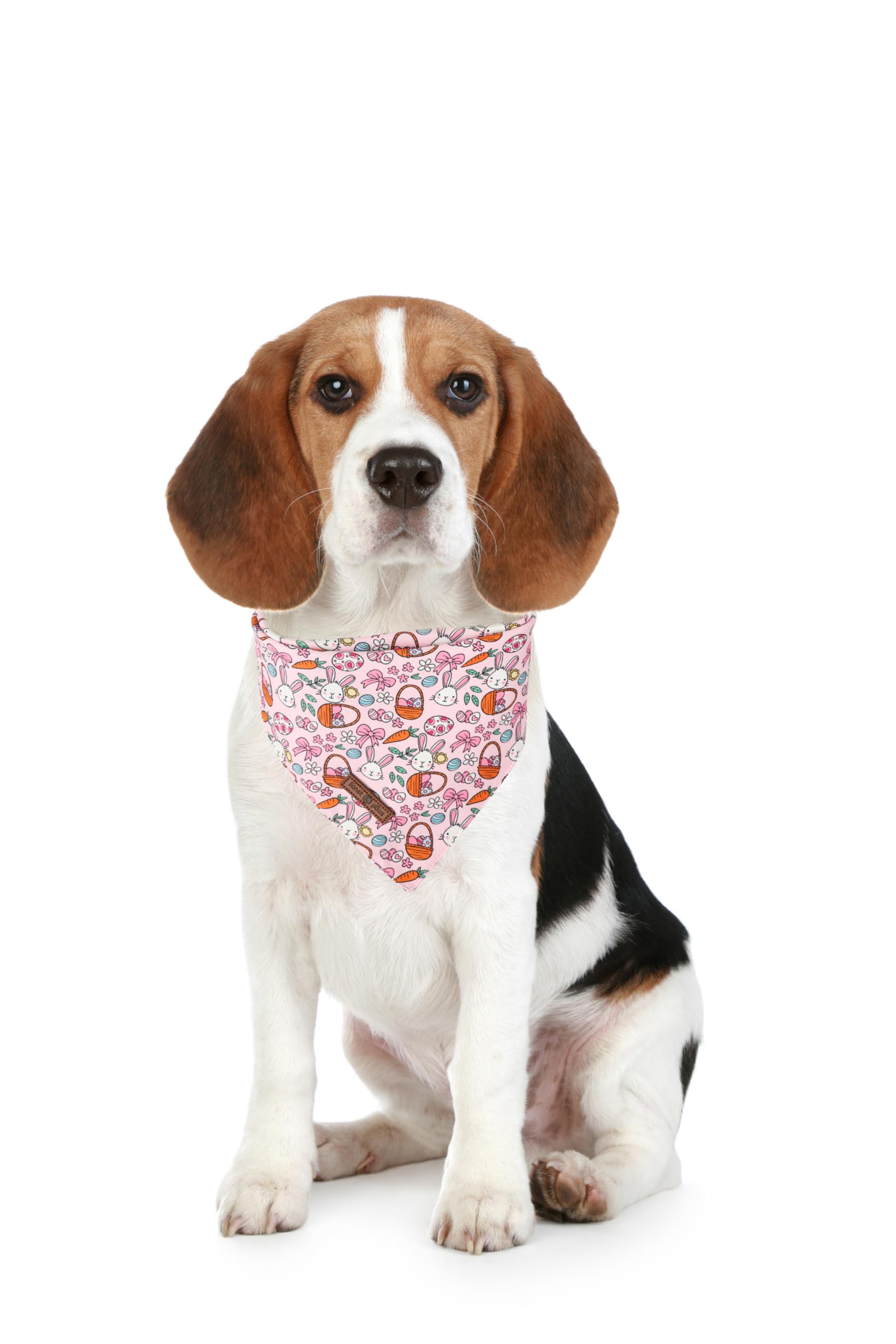 Lionet Paws Easter 2Pcs Dog Bandanas, Pink Cute Rabbit Egss Dog Scarf Bib Premium Fabric, Happy Easter Green Bandanas For Small