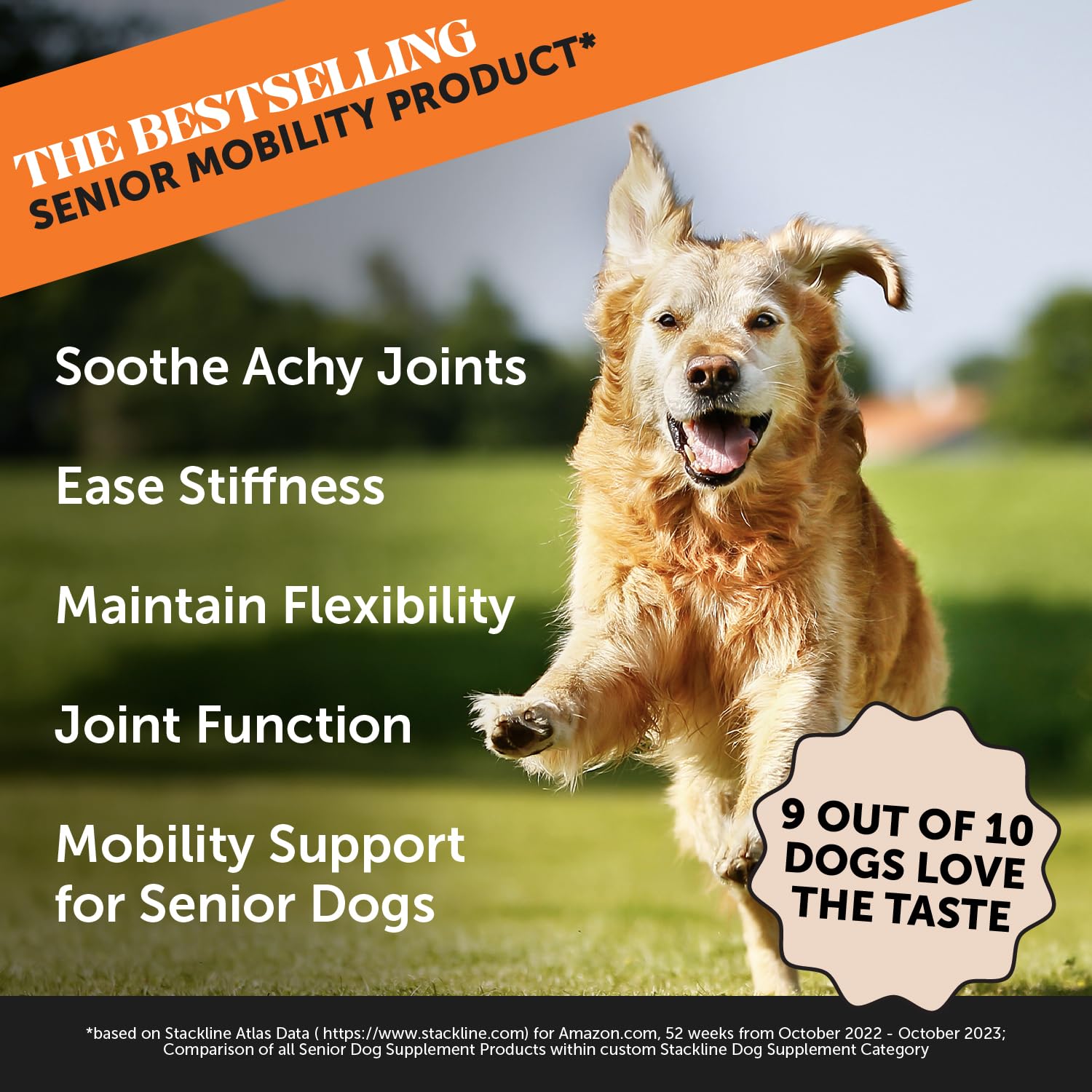 Pet Honesty Senior Hemp Hip & Joint Support, Hemp for Dogs, Mobility Support for Senior Dogs, Hemp Oil & Powder, Glucosamine, Co