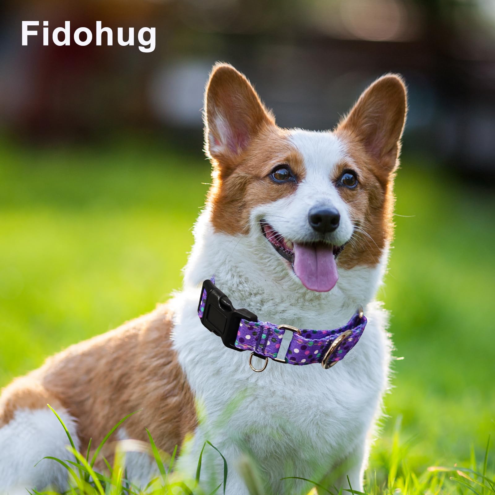 Fidohug Reflective Martingale Collar For Dogs With Quick Release Buckle Cute No Pull Training Dog Collars (Purple Polka Dot, Med