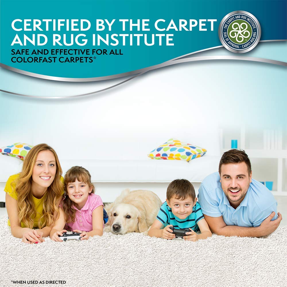 Simple Solution Cat Urine Destroyer | Continuous Spray Cat Stain And Odor Remover | Breaks Down Cat Urine To Neutralize Stain And Odor | Prevents Repeat Marking | 17 Ounces