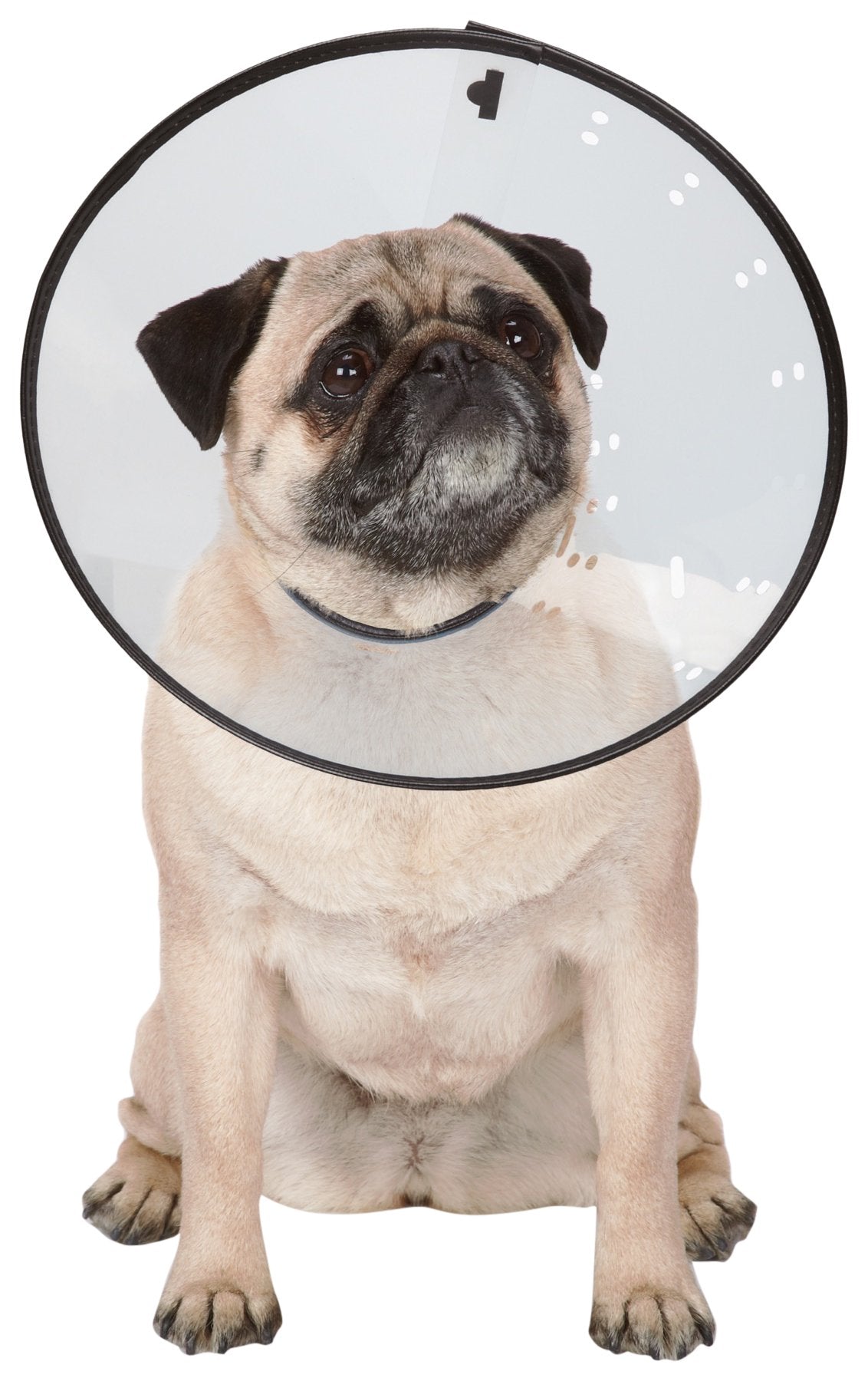 Total Pet Health Elizabethan Collars — Durable Plastic Collars That Keep Pets From Licking Wounded Areas - X-Large, Clear