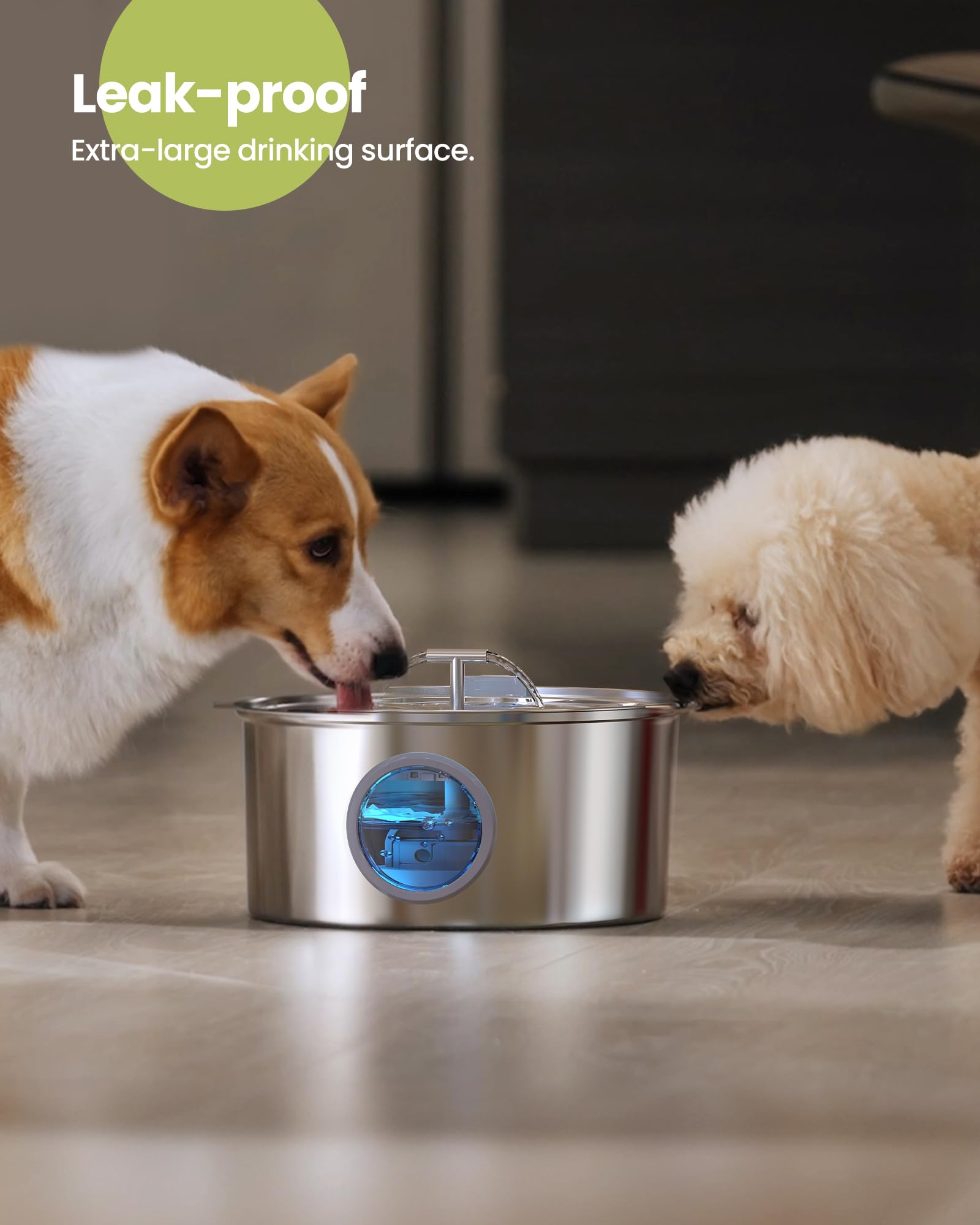 Dog Water Fountain Stainless Steel: 7L/1.8Gal Large Dog Fountains Quiet Automatic pet Drinking Dispenser - Indoor Cat Watering F